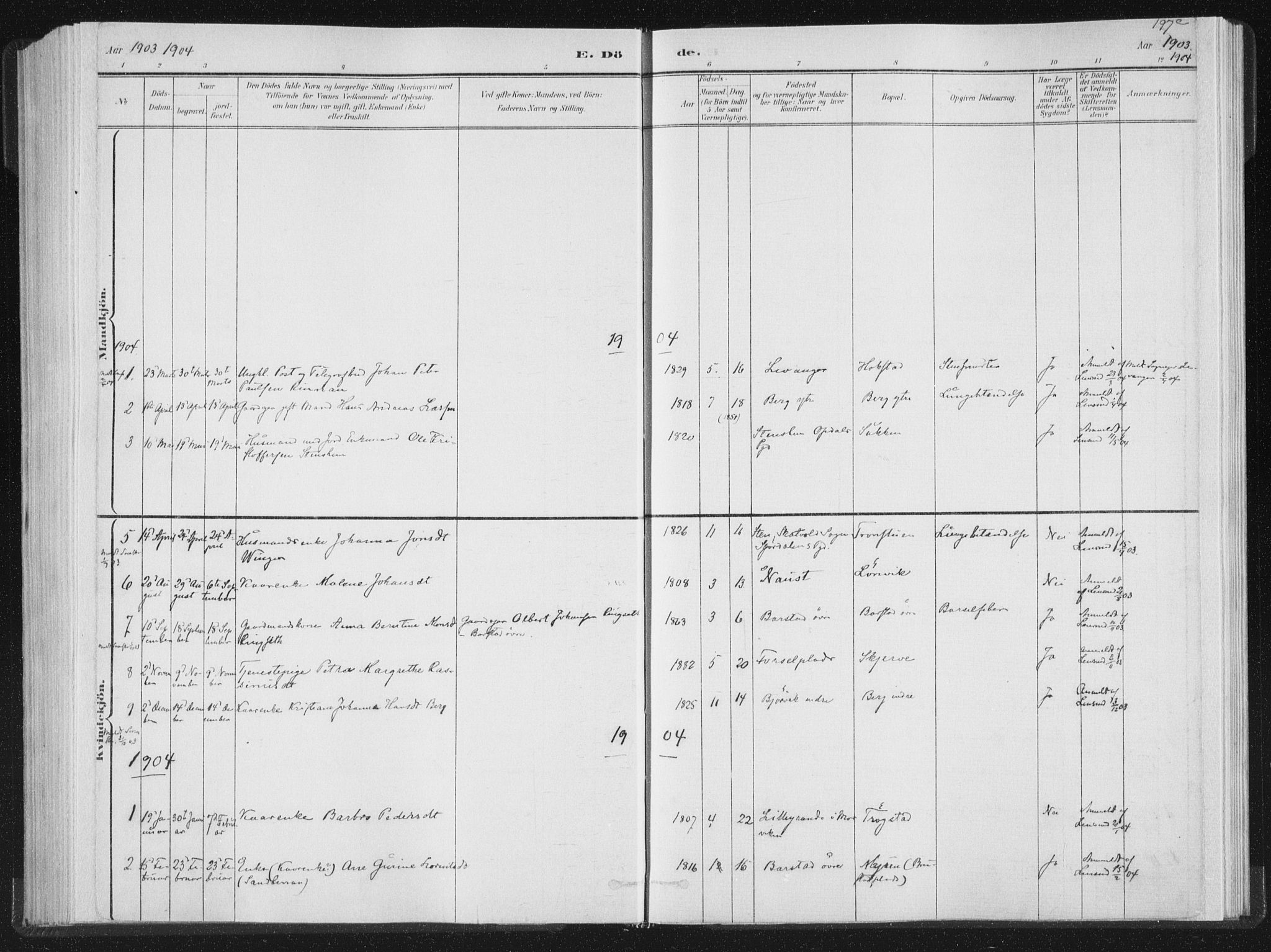 Ministerialprotokoller, klokkerbøker og fødselsregistre - Nord-Trøndelag, AV/SAT-A-1458/722/L0220: Ministerialbok nr. 722A07, 1881-1908, s. 197c