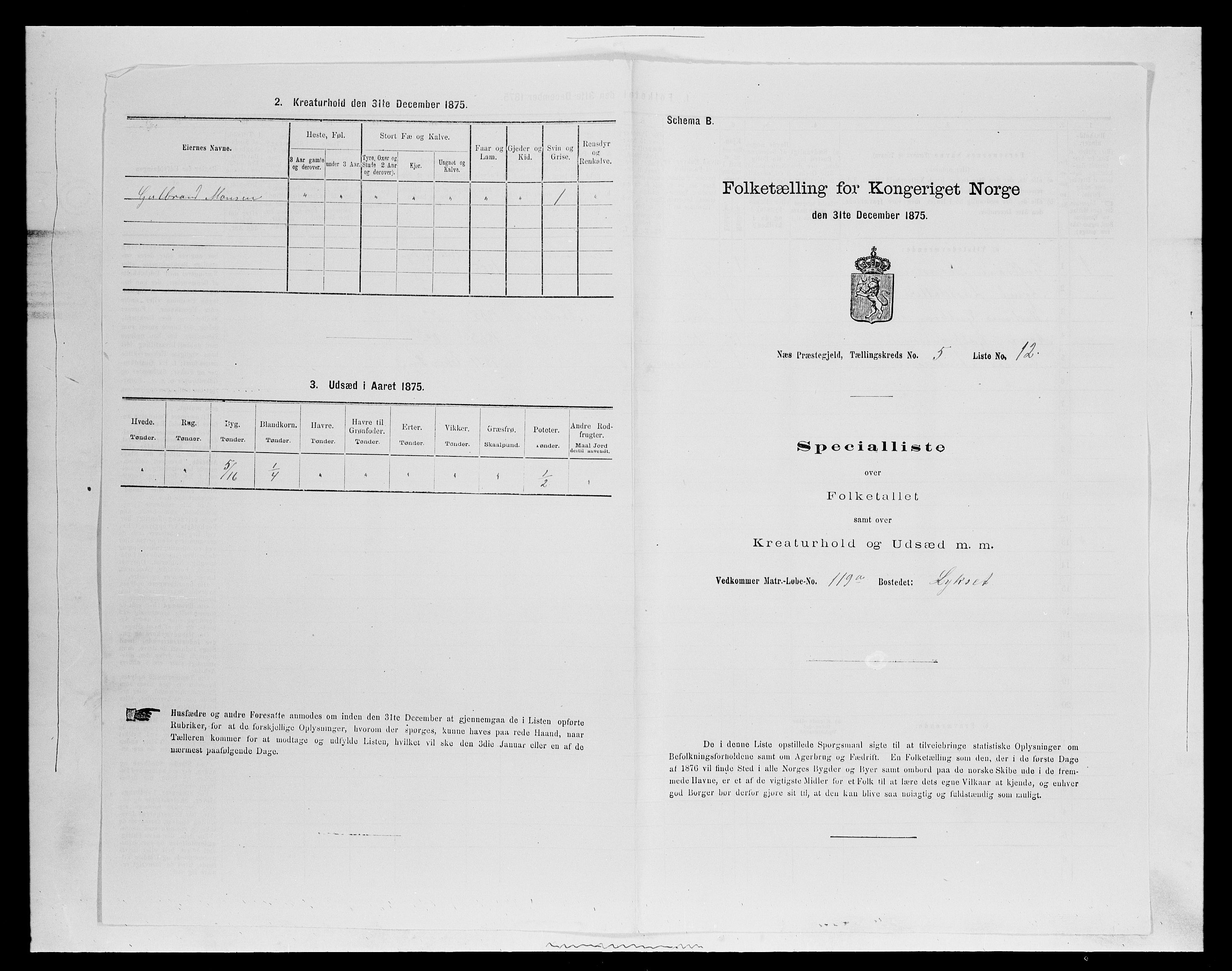 SAH, Folketelling 1875 for 0411P Nes prestegjeld, 1875, s. 810