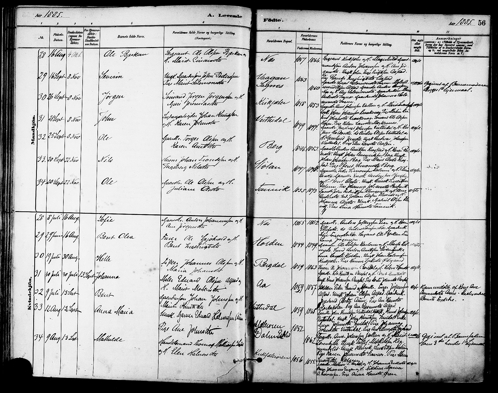 Ministerialprotokoller, klokkerbøker og fødselsregistre - Sør-Trøndelag, SAT/A-1456/630/L0496: Ministerialbok nr. 630A09, 1879-1895, s. 56