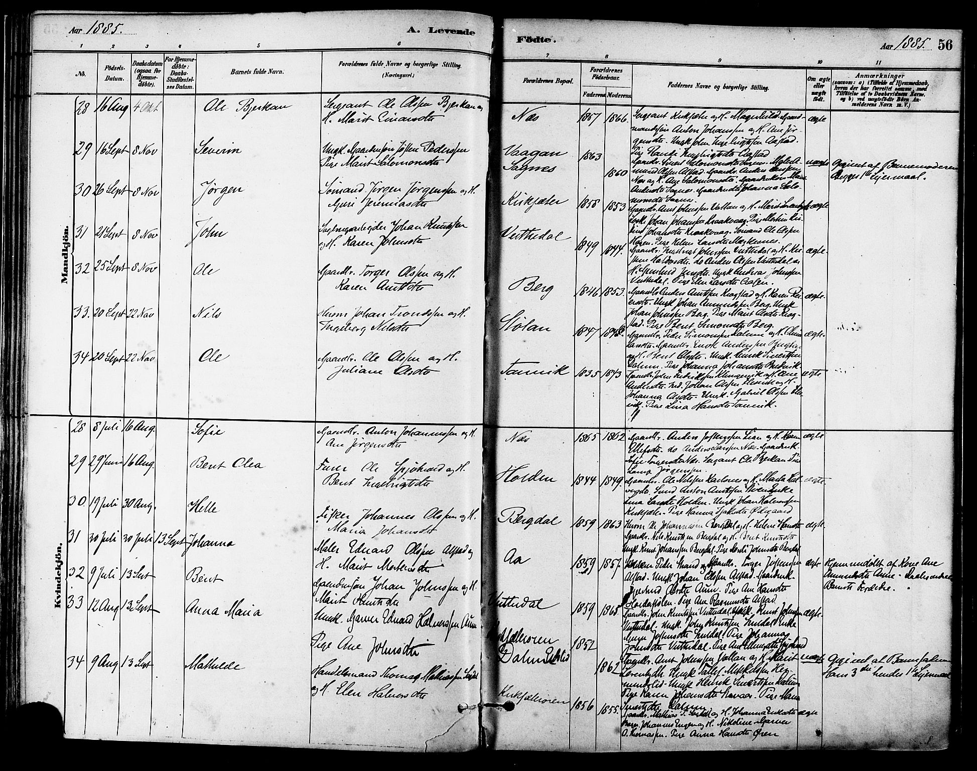 Ministerialprotokoller, klokkerbøker og fødselsregistre - Sør-Trøndelag, AV/SAT-A-1456/630/L0496: Ministerialbok nr. 630A09, 1879-1895, s. 56