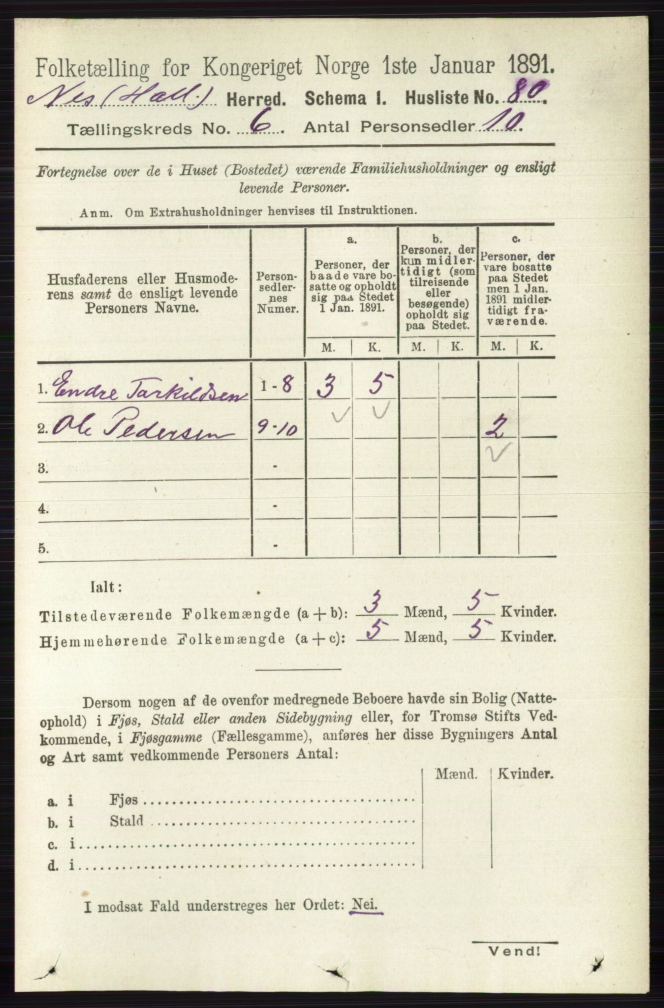 RA, Folketelling 1891 for 0616 Nes herred, 1891, s. 3034