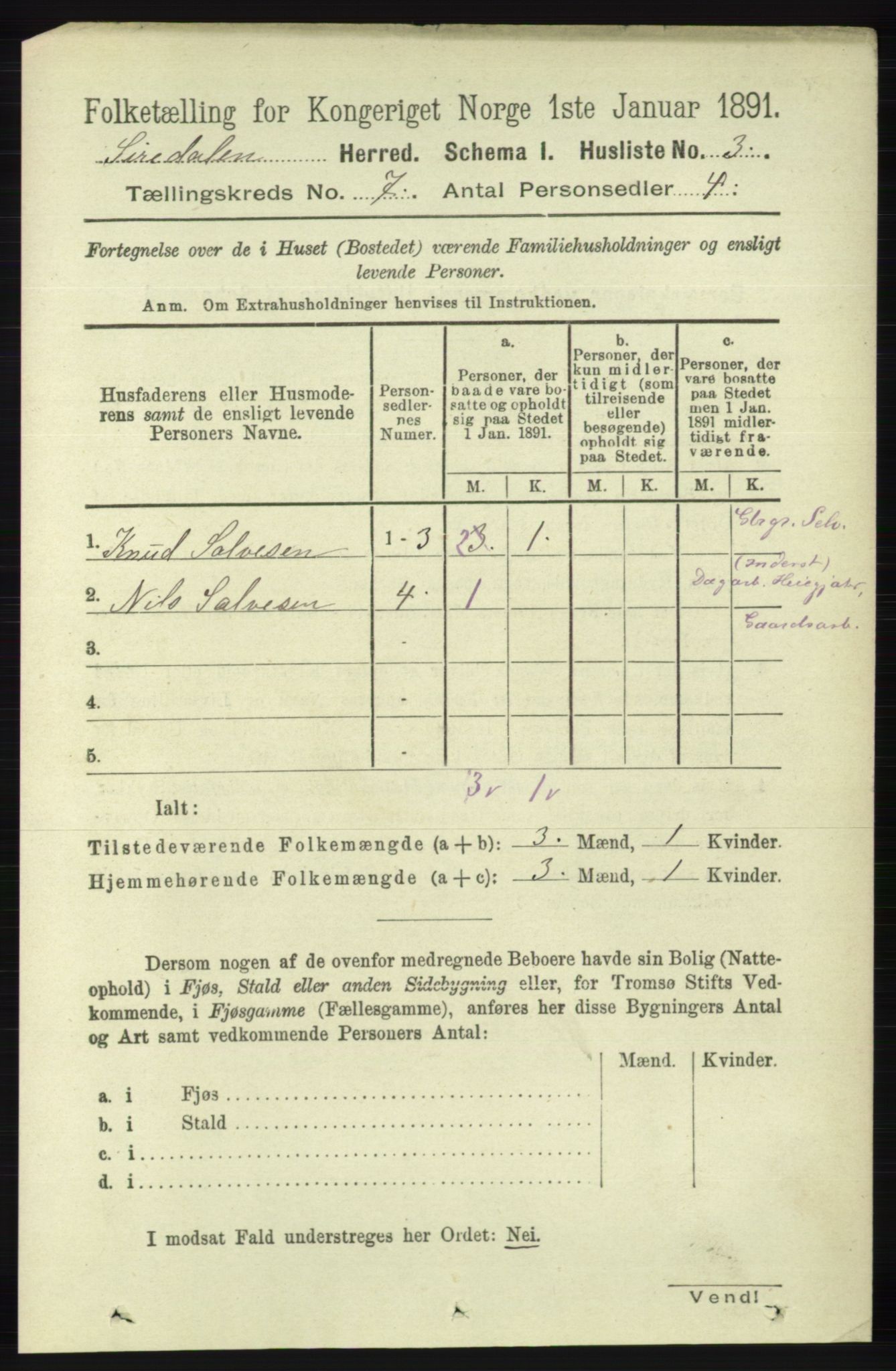 RA, Folketelling 1891 for 1046 Sirdal herred, 1891, s. 1919