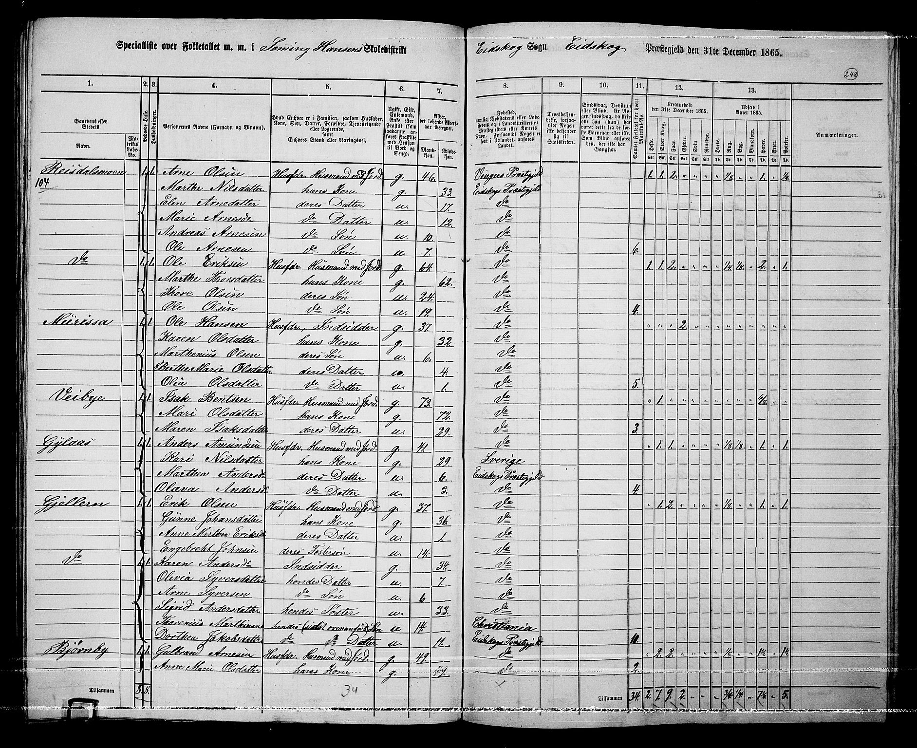 RA, Folketelling 1865 for 0420P Eidskog prestegjeld, 1865, s. 224