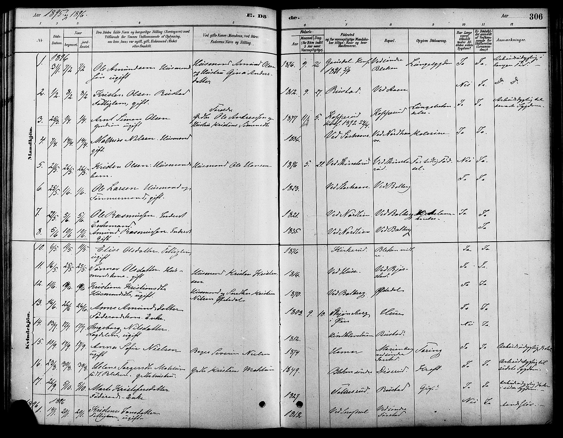 Fåberg prestekontor, AV/SAH-PREST-086/H/Ha/Haa/L0008: Ministerialbok nr. 8, 1879-1898, s. 306