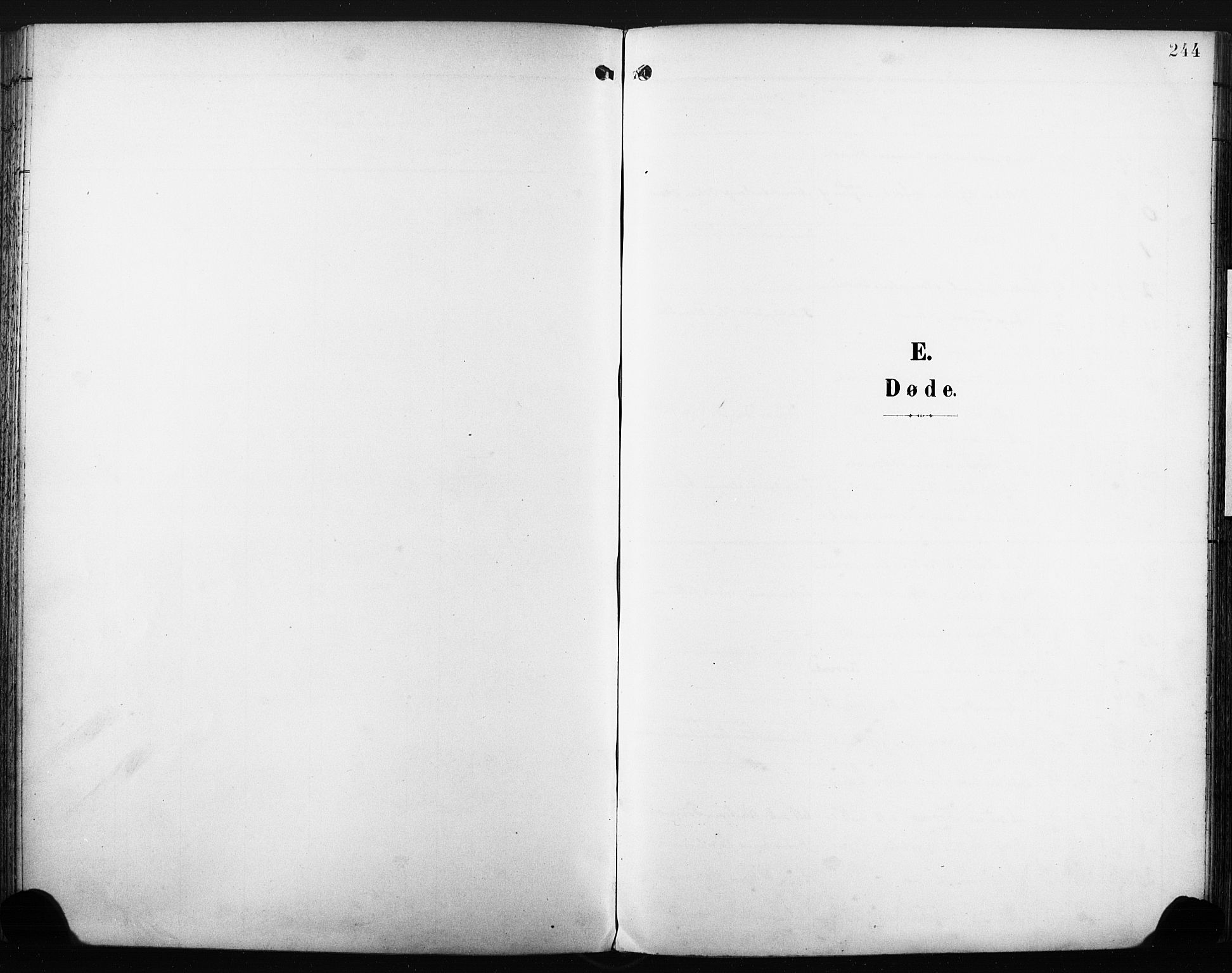 Nedre Eiker kirkebøker, SAKO/A-612/F/Fa/L0005: Ministerialbok nr. 5, 1898-1905, s. 244