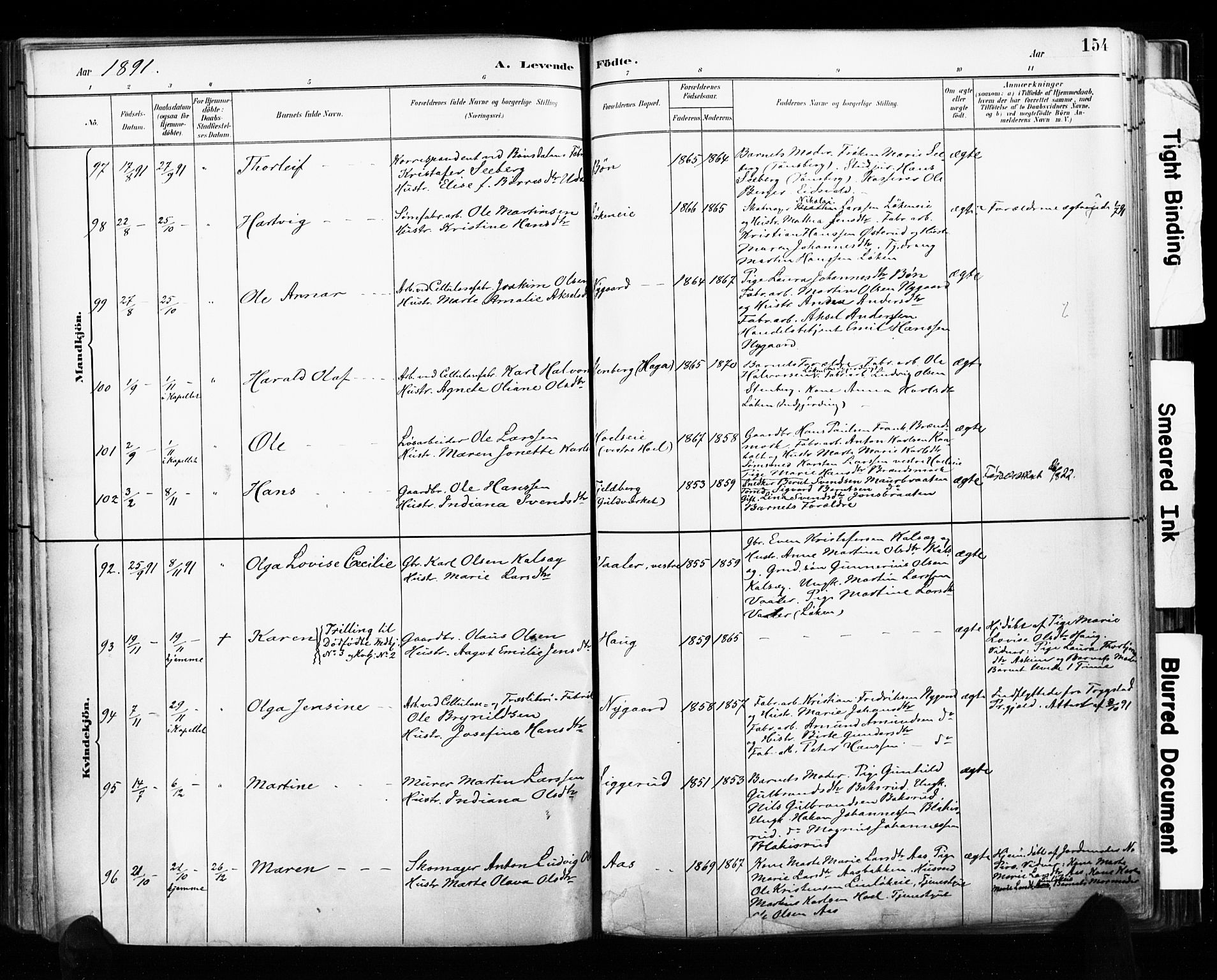 Eidsvoll prestekontor Kirkebøker, AV/SAO-A-10888/F/Fa/L0002: Ministerialbok nr. I 2, 1882-1895, s. 154