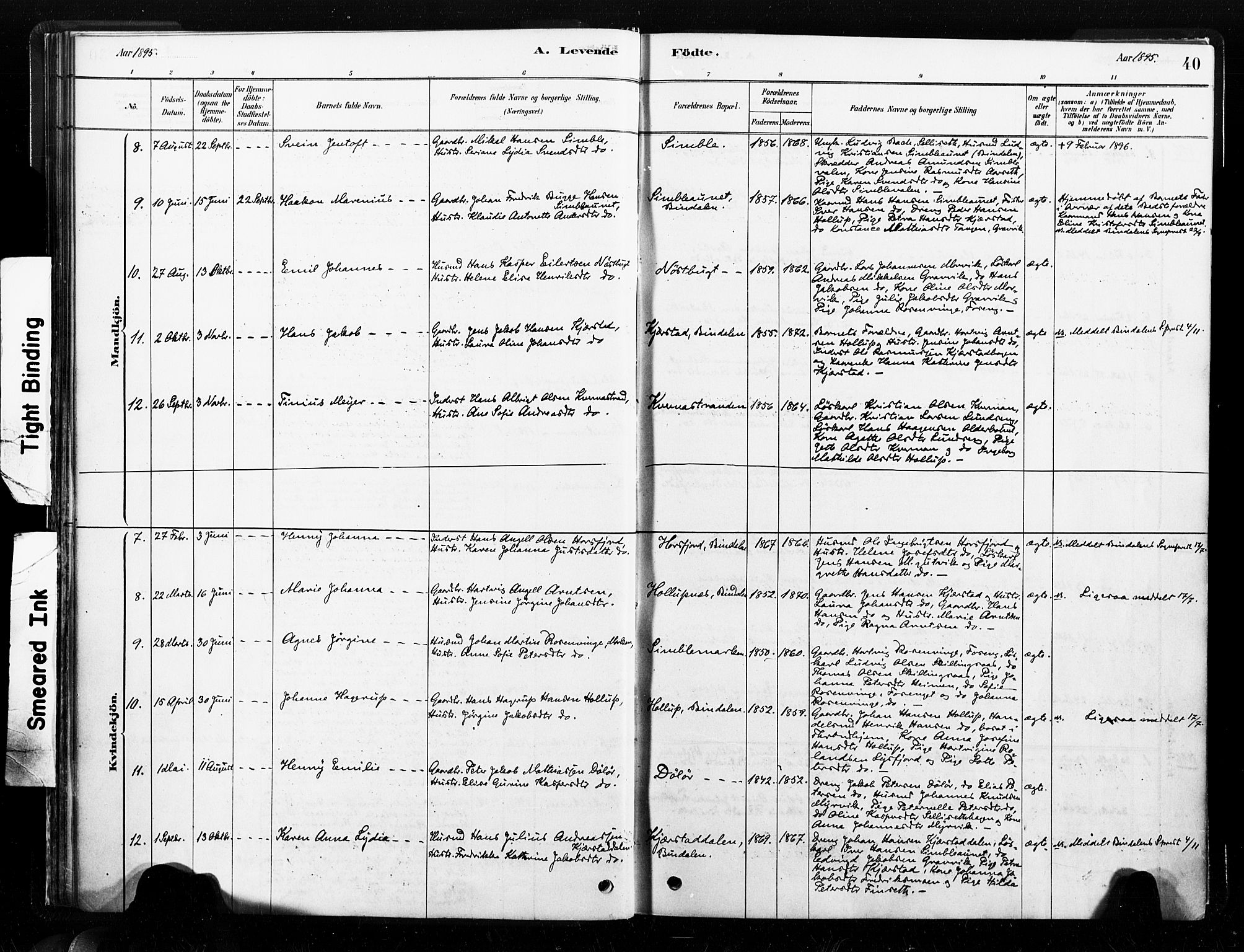 Ministerialprotokoller, klokkerbøker og fødselsregistre - Nord-Trøndelag, AV/SAT-A-1458/789/L0705: Ministerialbok nr. 789A01, 1878-1910, s. 40