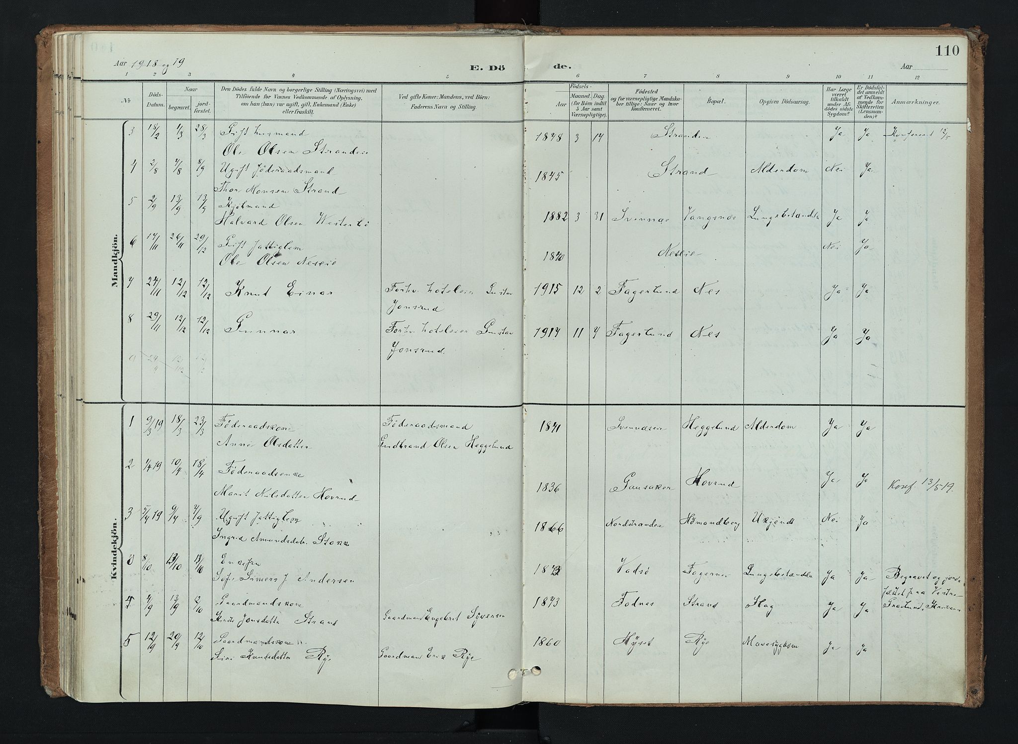 Nord-Aurdal prestekontor, AV/SAH-PREST-132/H/Ha/Haa/L0016: Ministerialbok nr. 16, 1897-1925, s. 110