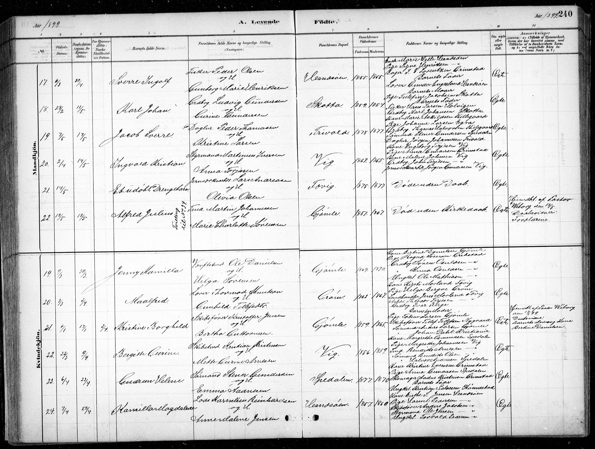Fjære sokneprestkontor, AV/SAK-1111-0011/F/Fb/L0011: Klokkerbok nr. B 11, 1881-1905, s. 240