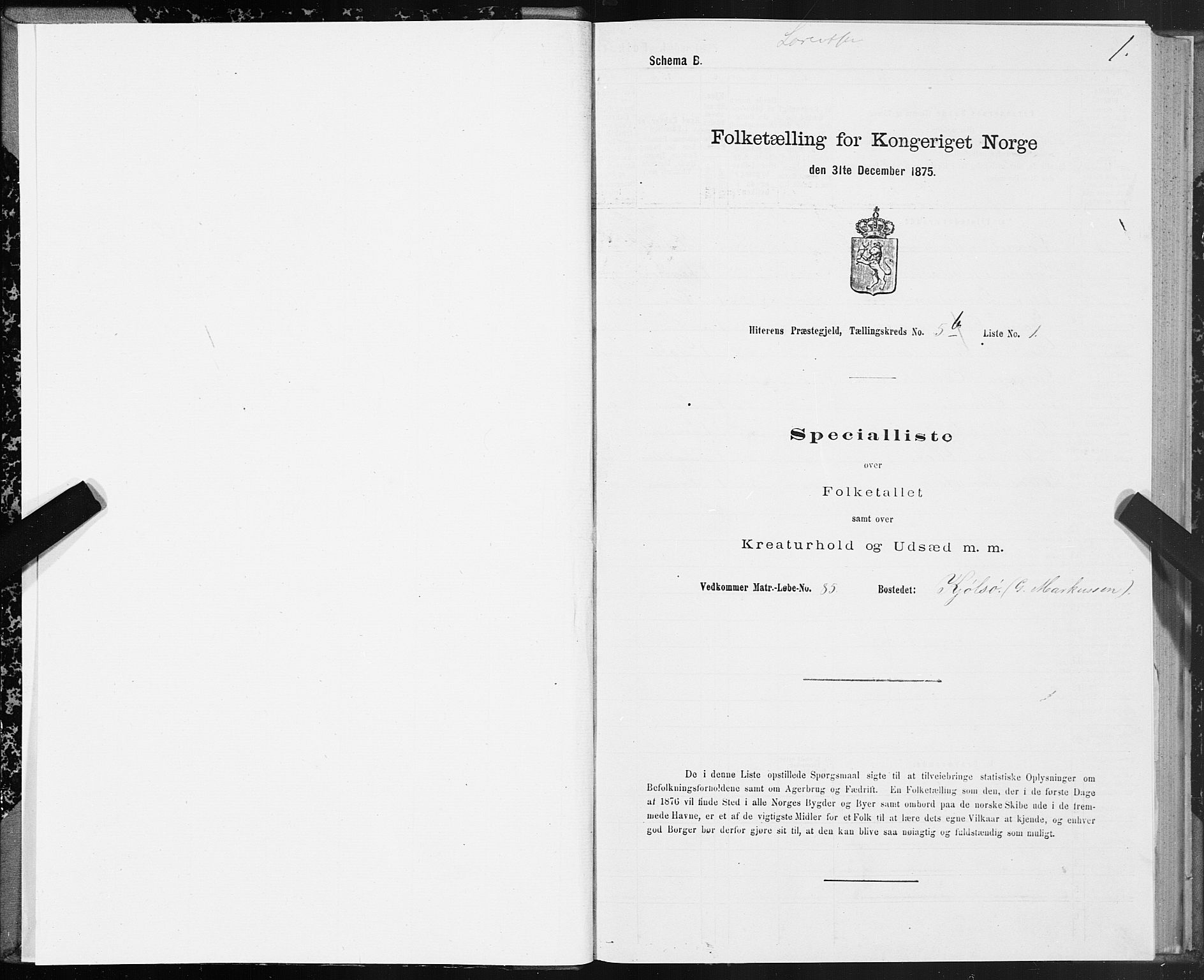 SAT, Folketelling 1875 for 1617P Hitra prestegjeld, 1875, s. 3001