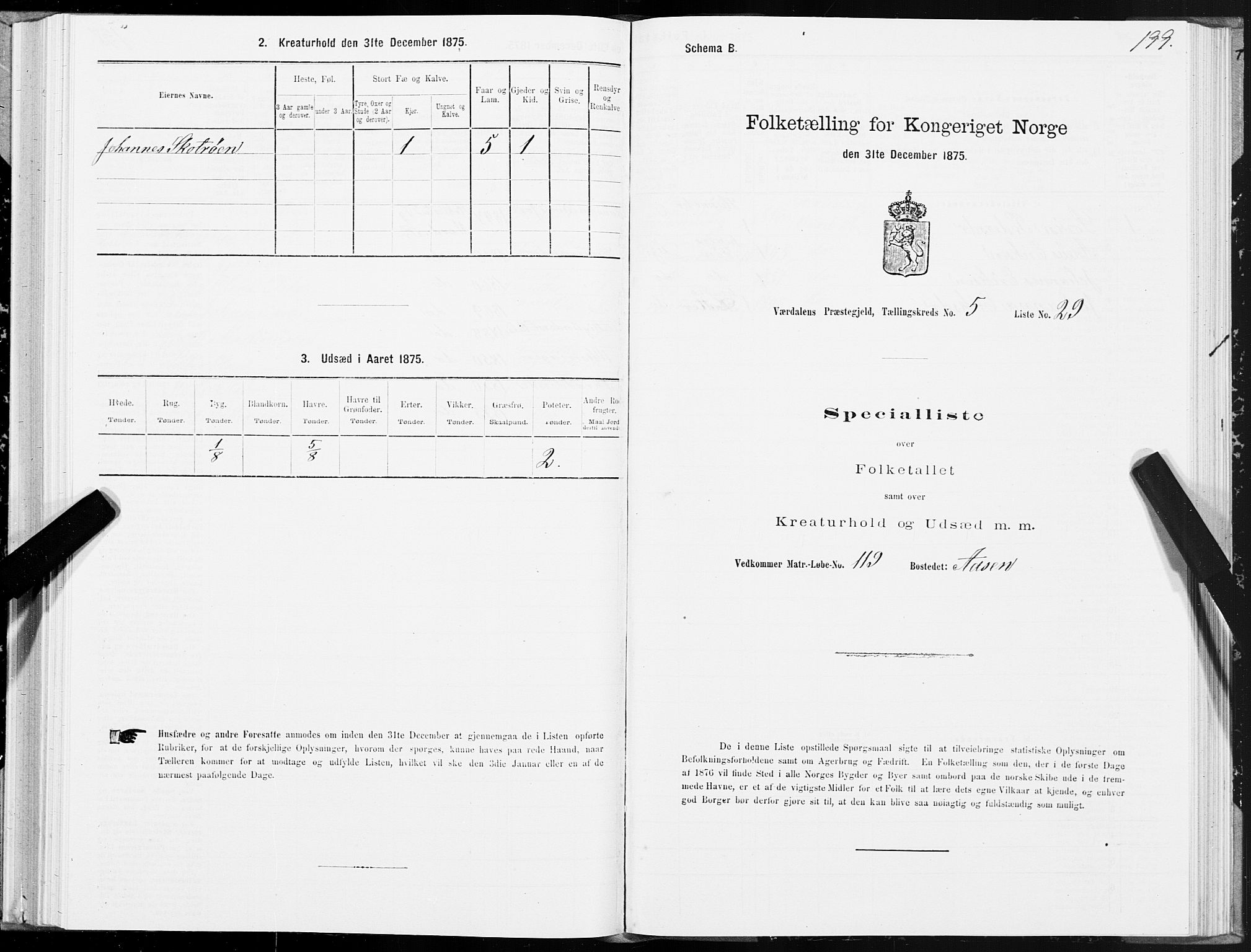 SAT, Folketelling 1875 for 1721P Verdal prestegjeld, 1875, s. 3199