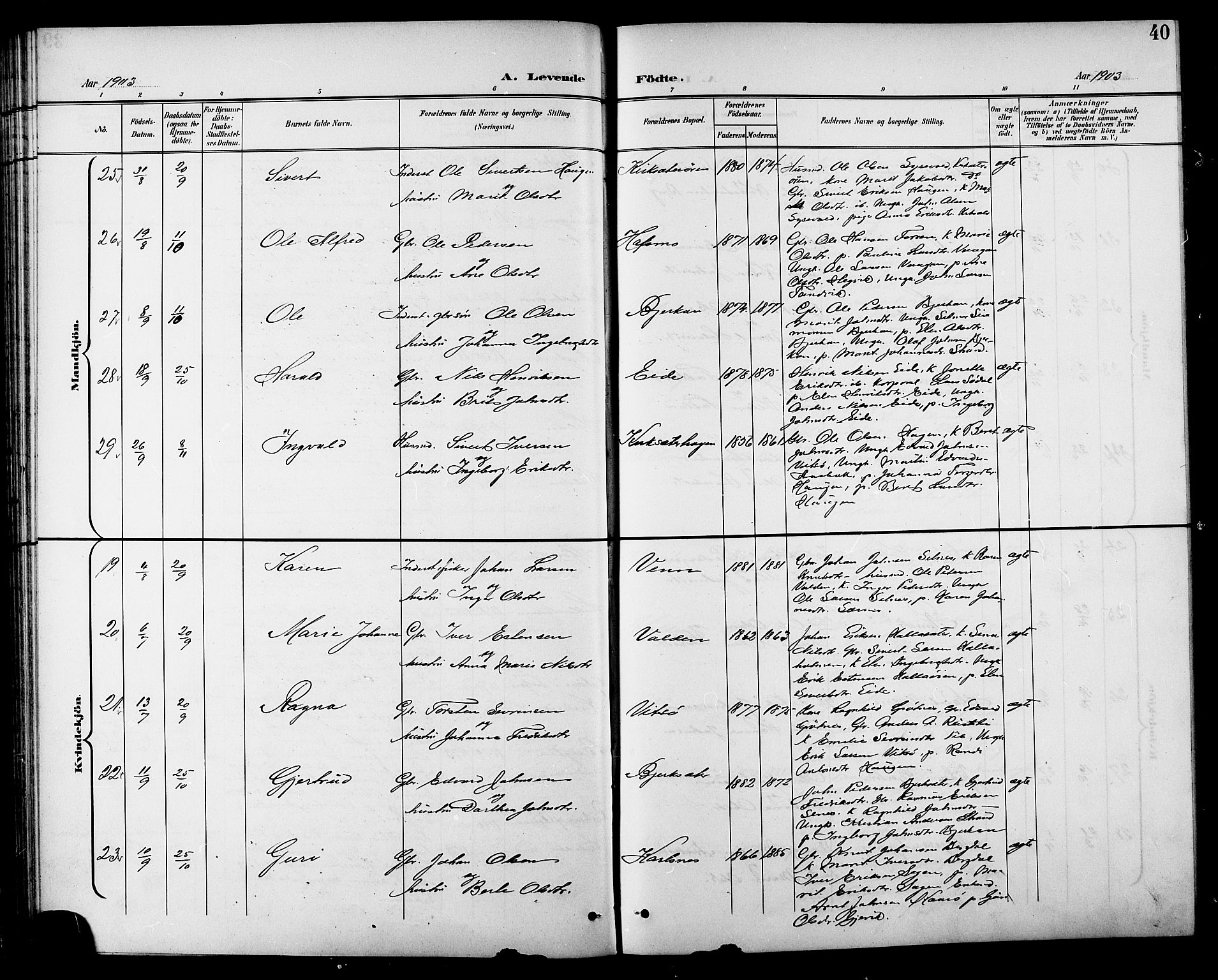 Ministerialprotokoller, klokkerbøker og fødselsregistre - Sør-Trøndelag, AV/SAT-A-1456/630/L0505: Klokkerbok nr. 630C03, 1899-1914, s. 40