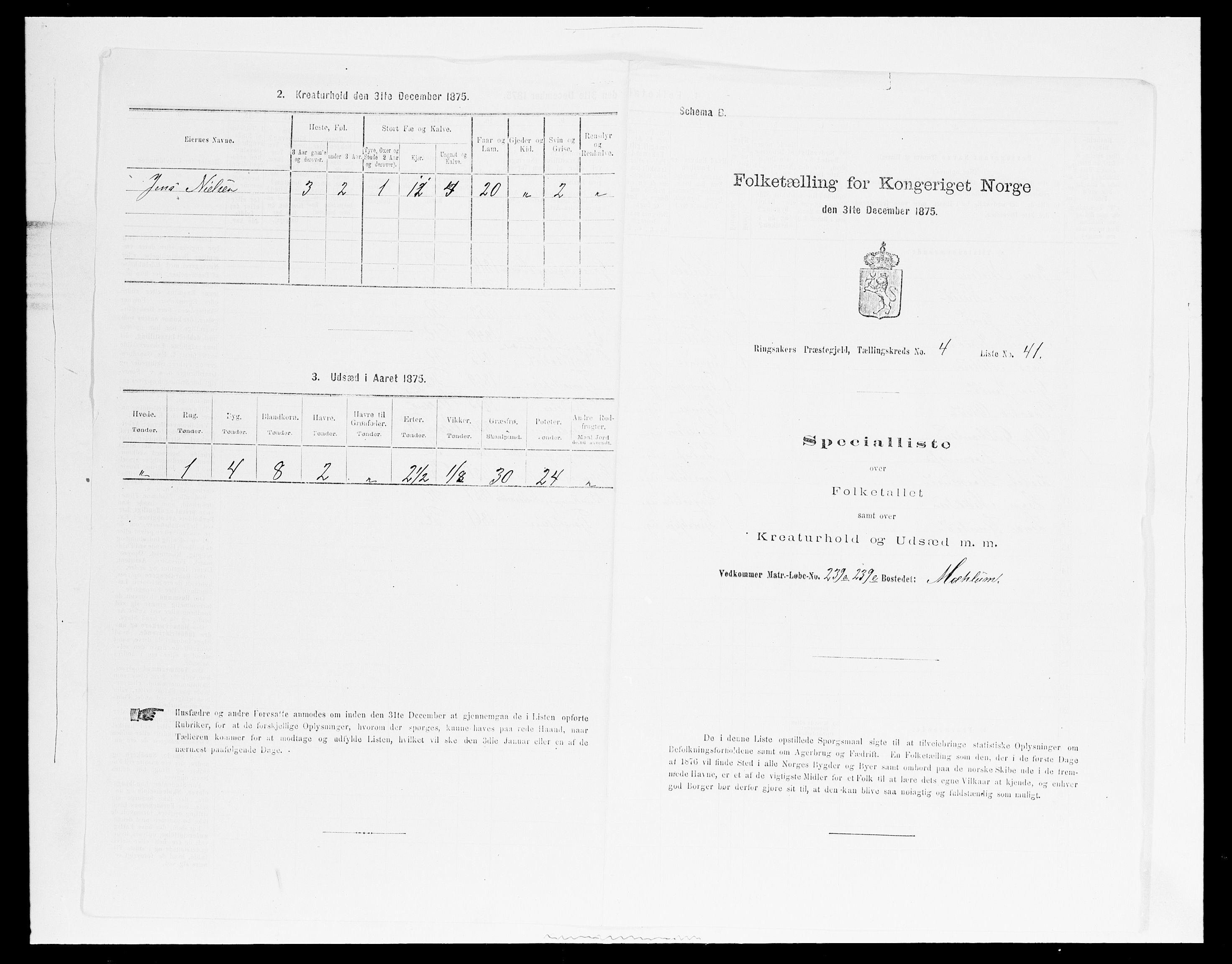 SAH, Folketelling 1875 for 0412P Ringsaker prestegjeld, 1875, s. 915