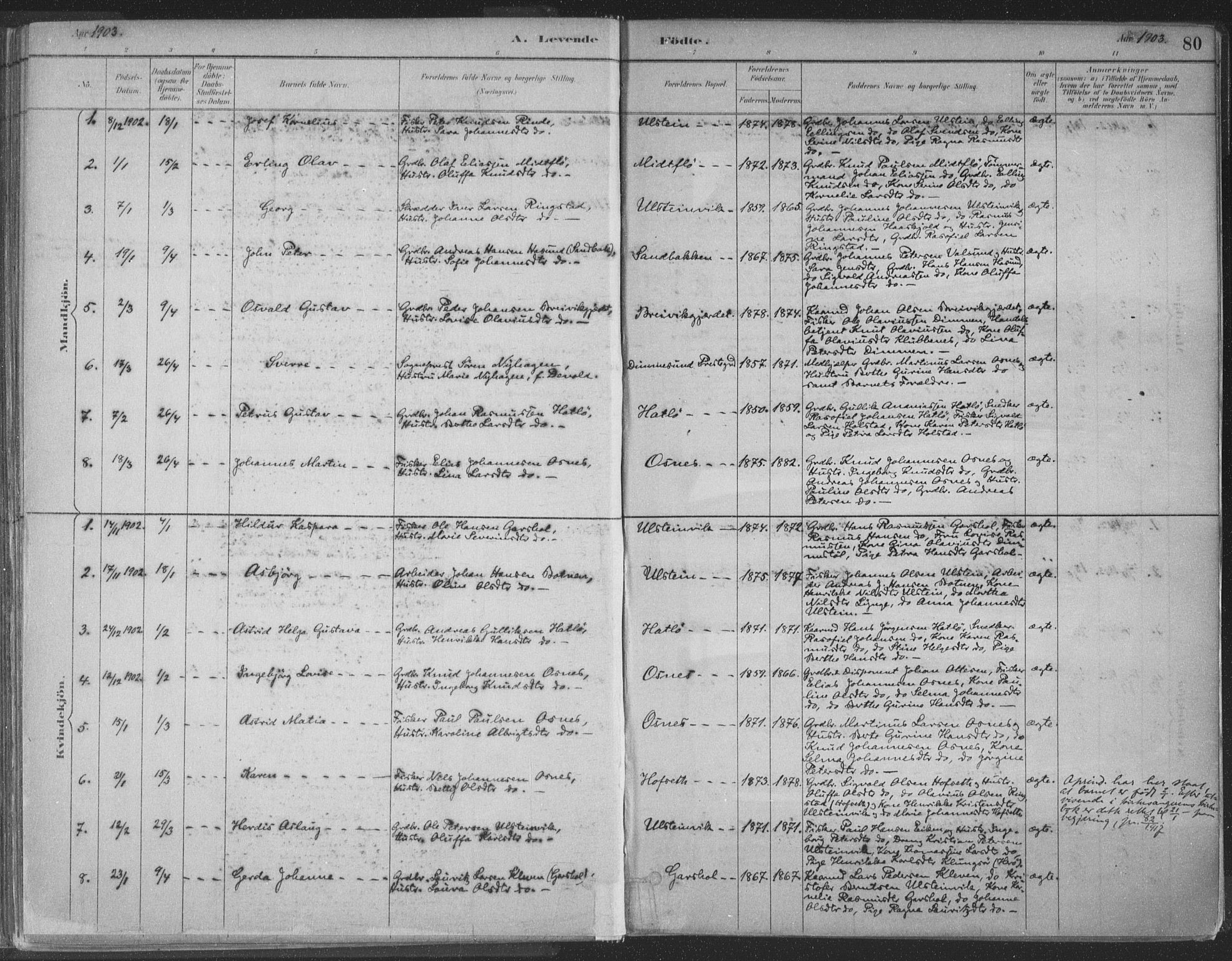 Ministerialprotokoller, klokkerbøker og fødselsregistre - Møre og Romsdal, SAT/A-1454/509/L0106: Ministerialbok nr. 509A04, 1883-1922, s. 80