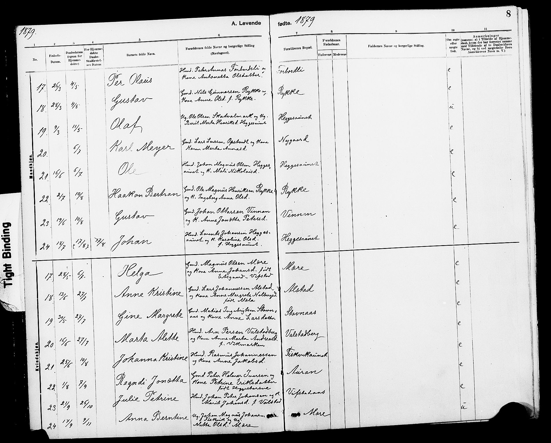 Ministerialprotokoller, klokkerbøker og fødselsregistre - Nord-Trøndelag, AV/SAT-A-1458/712/L0103: Klokkerbok nr. 712C01, 1878-1917, s. 8