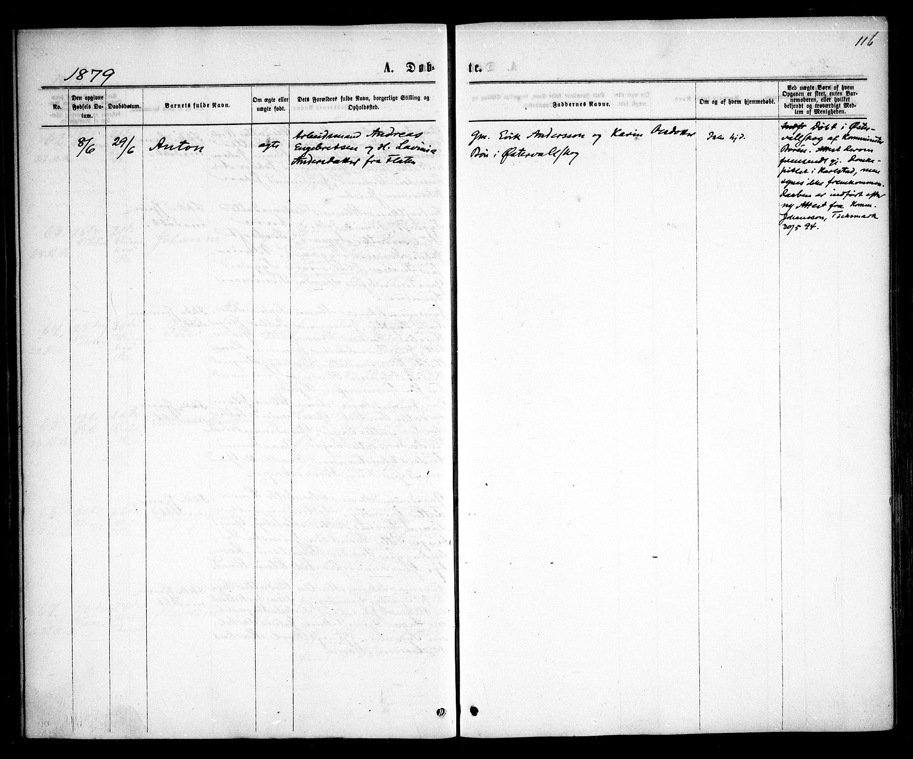 Rødenes prestekontor Kirkebøker, AV/SAO-A-2005/F/Fa/L0008: Ministerialbok nr. I 8, 1869-1879, s. 116