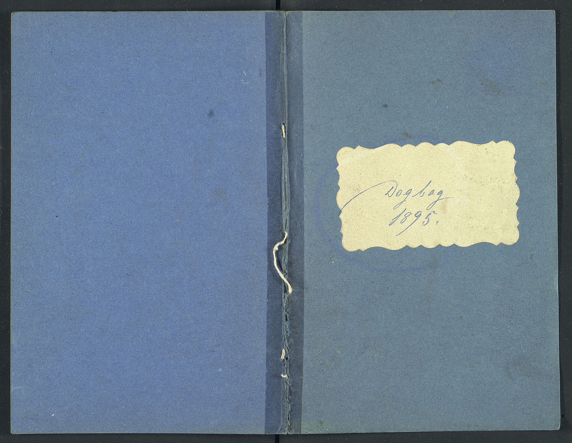 Familien Aalls privatarkiv , NESJ/NJM-005/E-00003/L0001/0002/0004: Dag- og notatbøker / Dølner dagbok-bokpakke 002, 1895