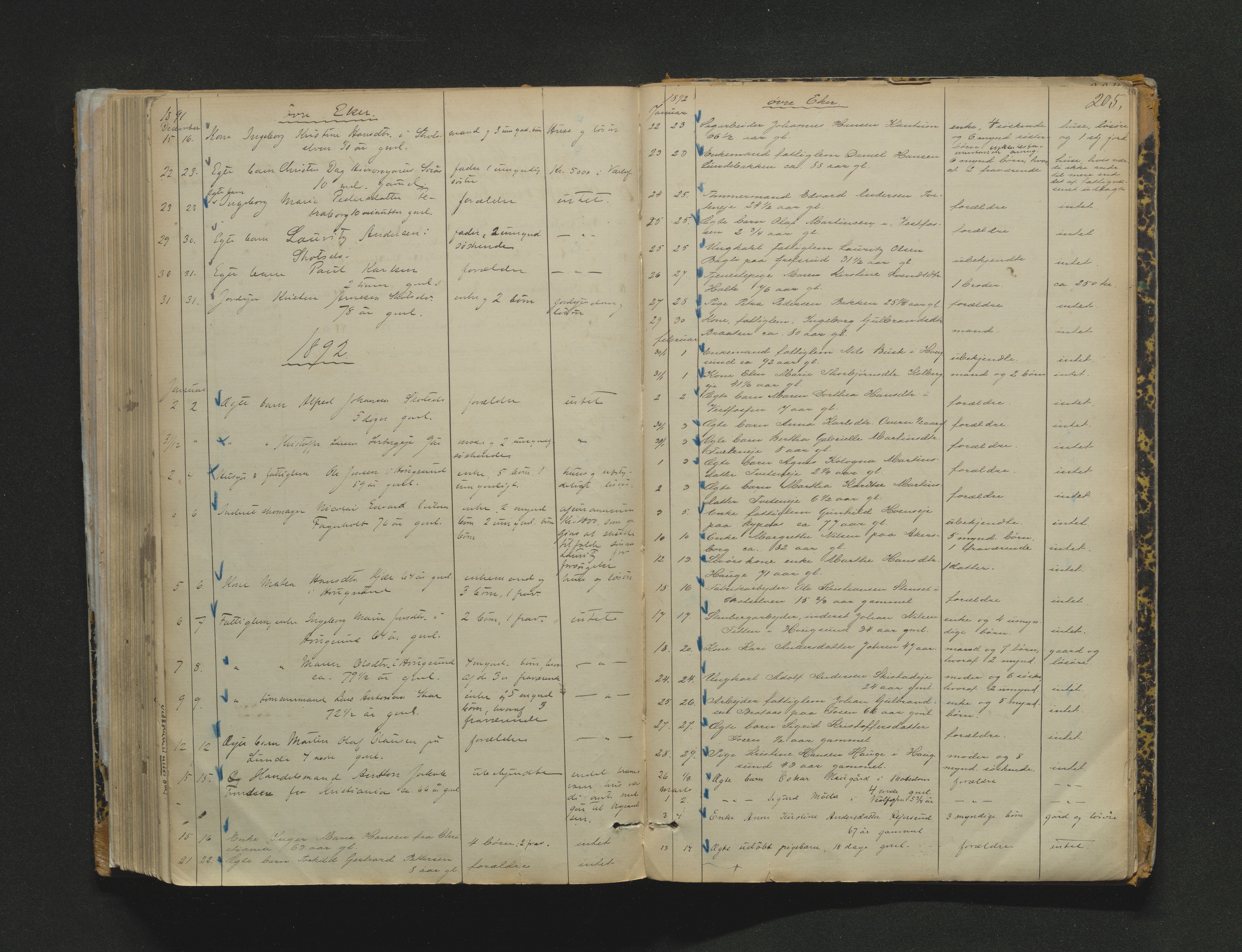 Eiker, Modum og Sigdal sorenskriveri, AV/SAKO-A-123/H/Ha/Haa/L0003: Dødsfallsprotokoll, 1870-1892, s. 205