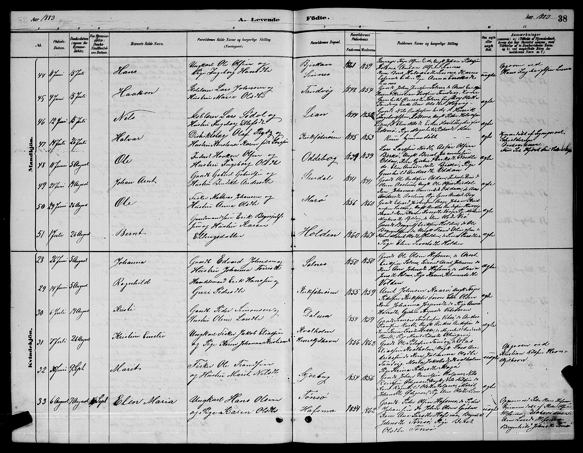 Ministerialprotokoller, klokkerbøker og fødselsregistre - Sør-Trøndelag, AV/SAT-A-1456/630/L0504: Klokkerbok nr. 630C02, 1879-1898, s. 38