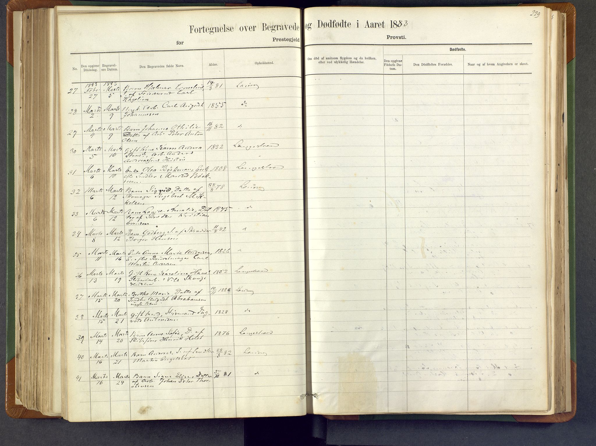 Larvik kirkebøker, AV/SAKO-A-352/F/Fa/L0007: Ministerialbok nr. I 7, 1871-1883, s. 229