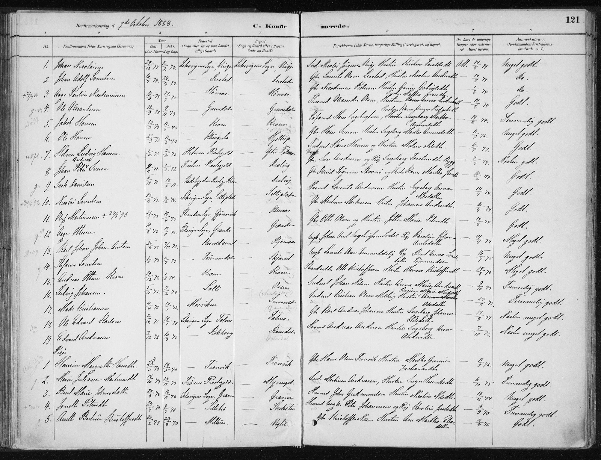 Ministerialprotokoller, klokkerbøker og fødselsregistre - Nord-Trøndelag, AV/SAT-A-1458/701/L0010: Ministerialbok nr. 701A10, 1883-1899, s. 121