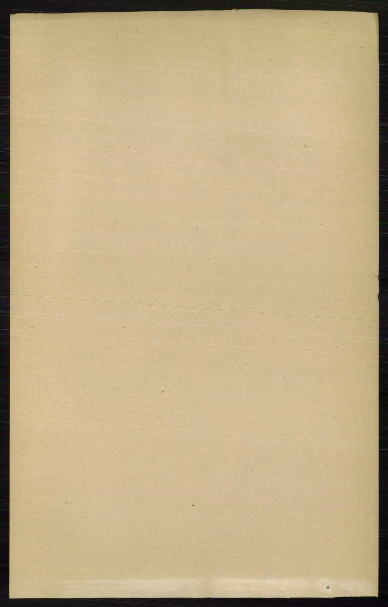 RA, Folketelling 1891 for 0543 Vestre Slidre herred, 1891, s. 502