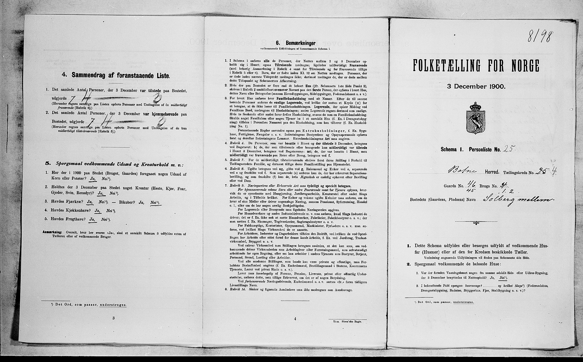 RA, Folketelling 1900 for 0715 Botne herred, 1900, s. 541