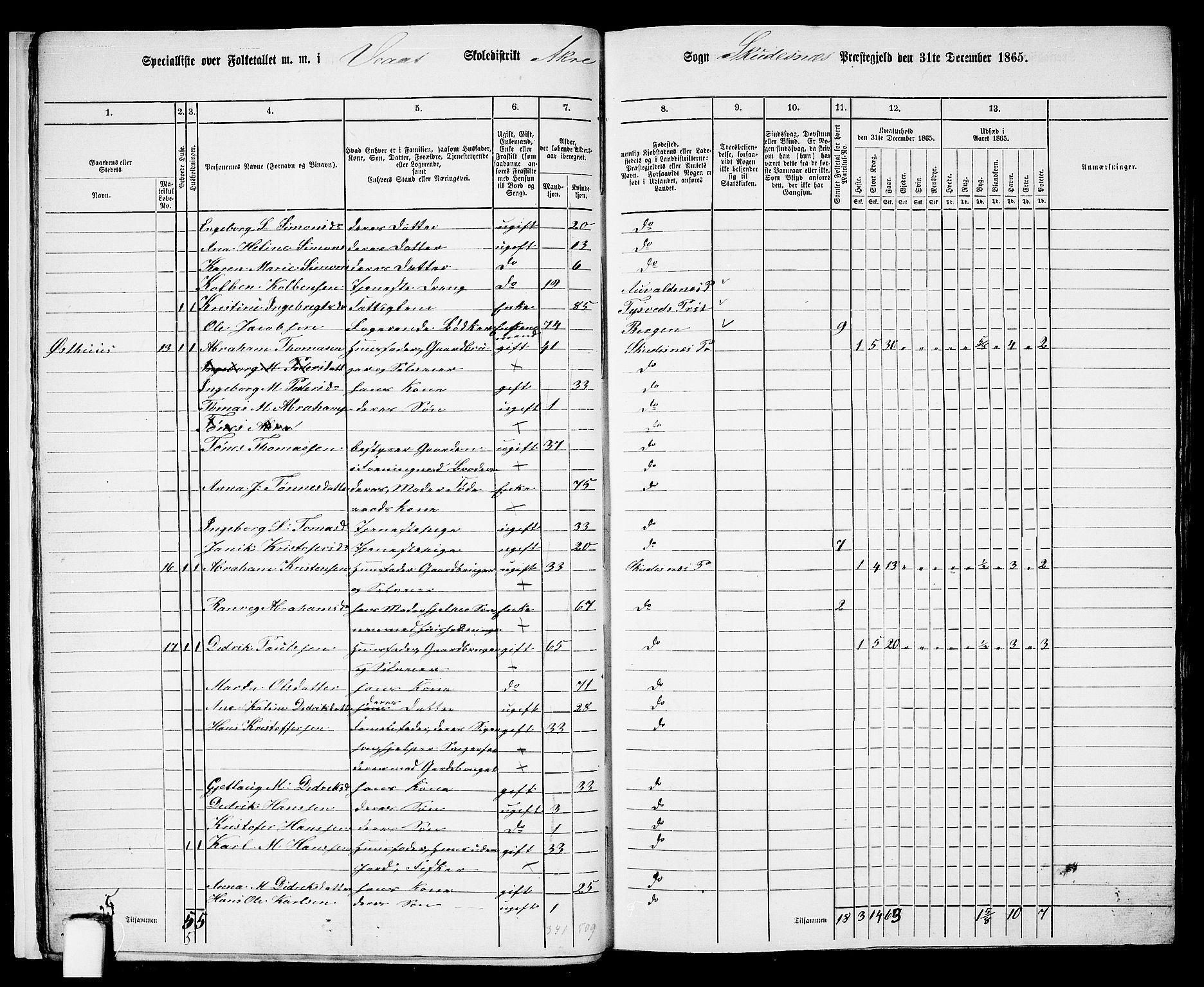 RA, Folketelling 1865 for 1150P Skudenes prestegjeld, 1865, s. 18