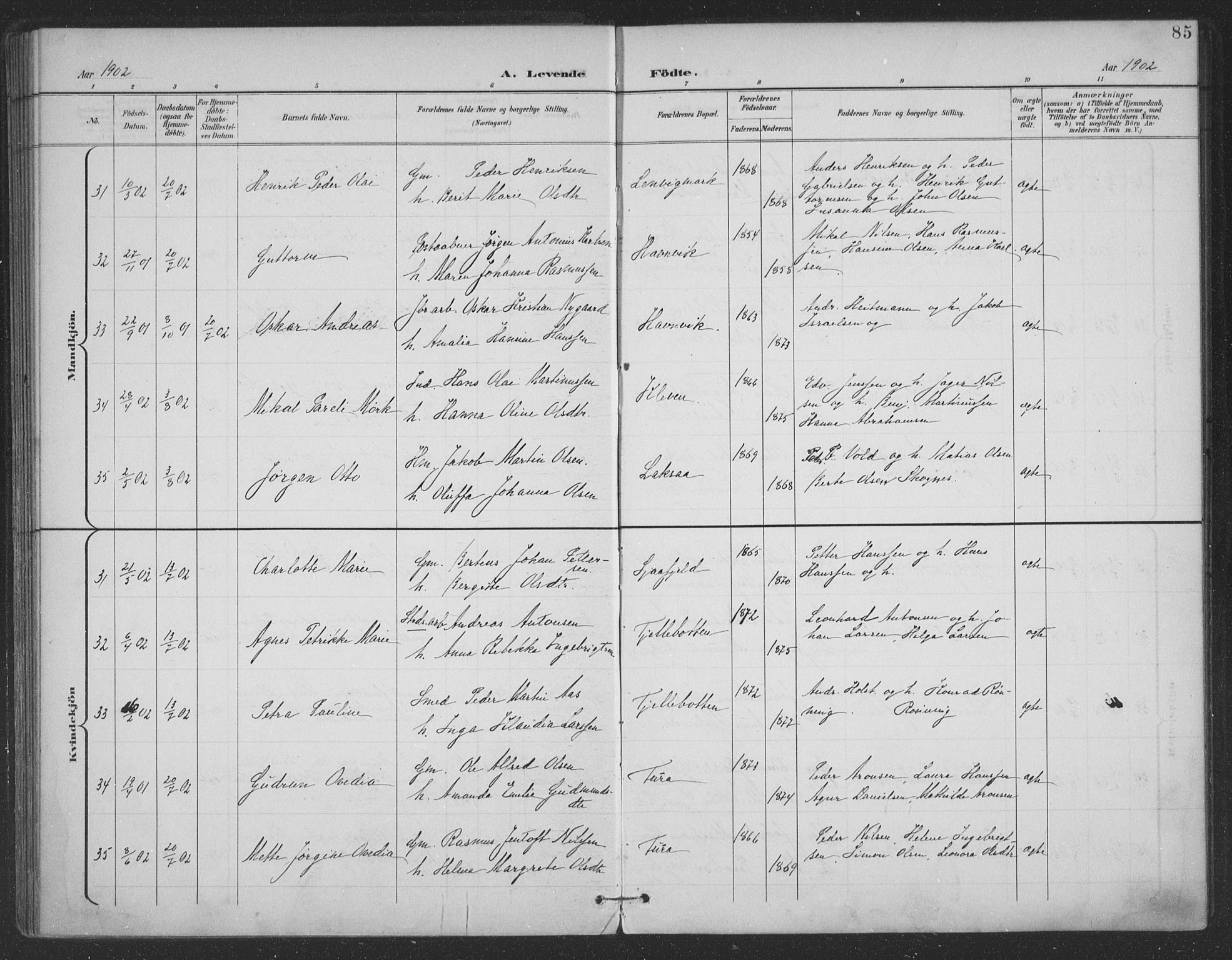 Ministerialprotokoller, klokkerbøker og fødselsregistre - Nordland, AV/SAT-A-1459/863/L0899: Ministerialbok nr. 863A11, 1897-1906, s. 85