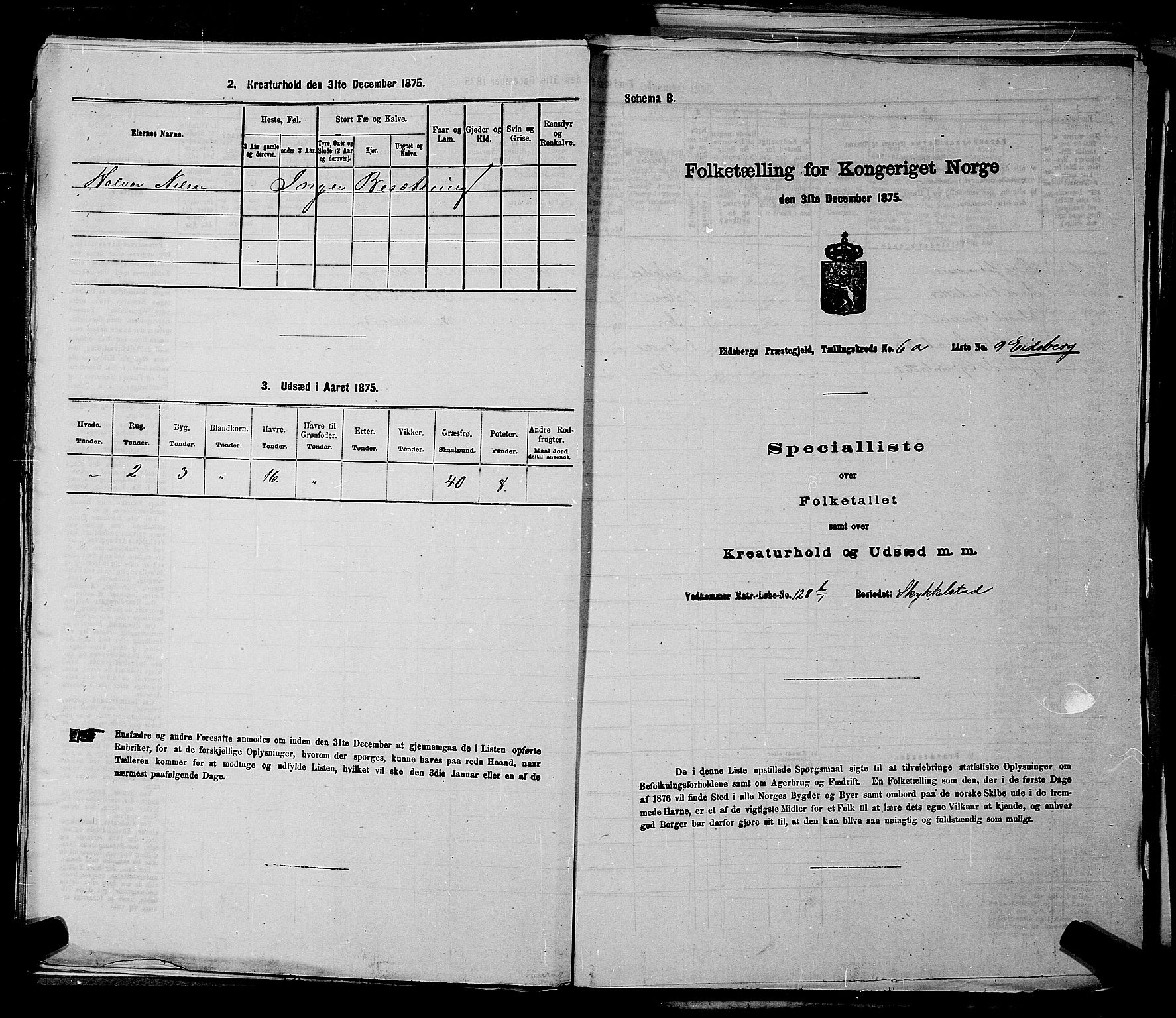 RA, Folketelling 1875 for 0125P Eidsberg prestegjeld, 1875, s. 1149