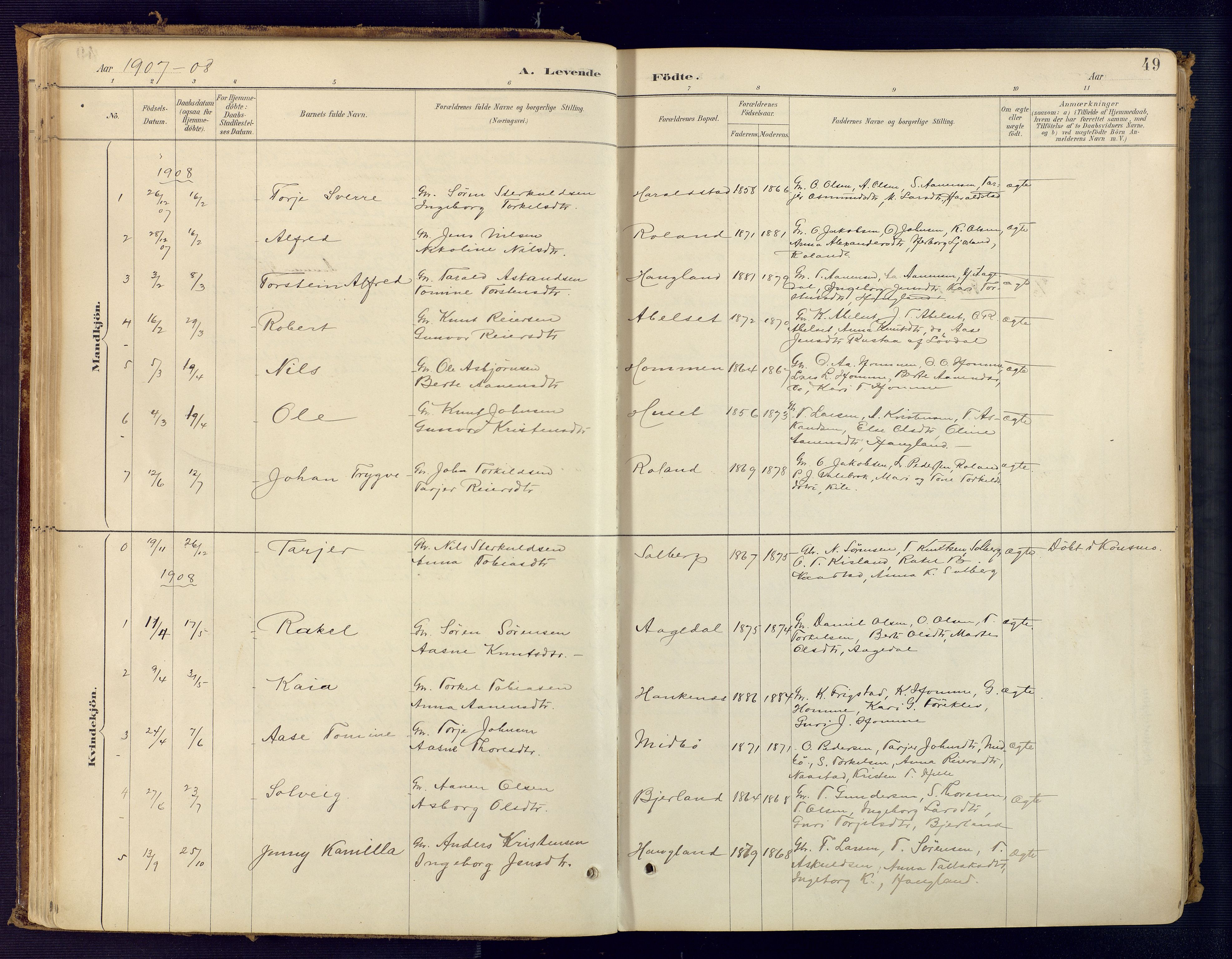 Bjelland sokneprestkontor, AV/SAK-1111-0005/F/Fa/Faa/L0004: Ministerialbok nr. A 4, 1887-1923, s. 49