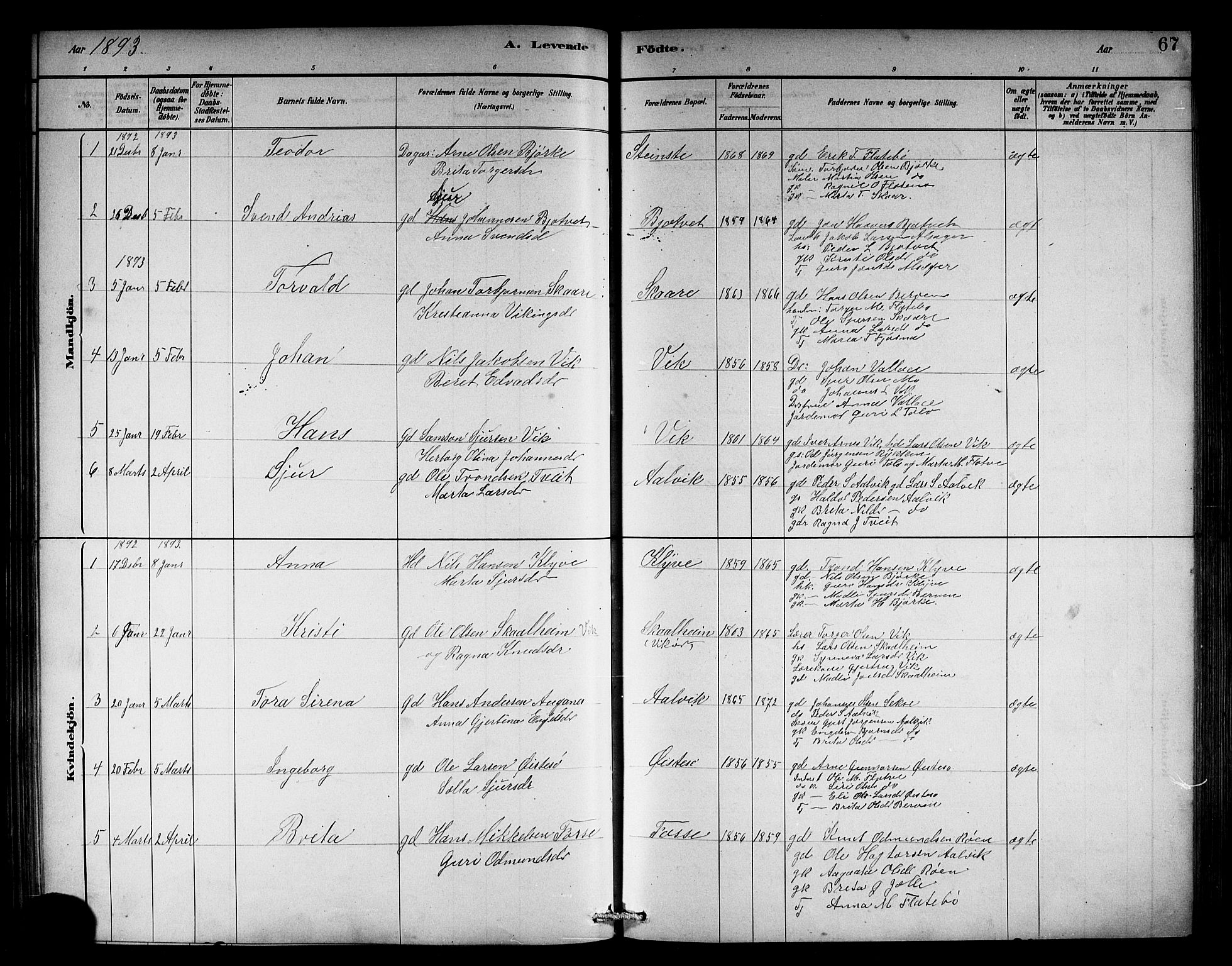 Kvam sokneprestembete, AV/SAB-A-76201/H/Hab: Klokkerbok nr. C 3, 1881-1905, s. 67