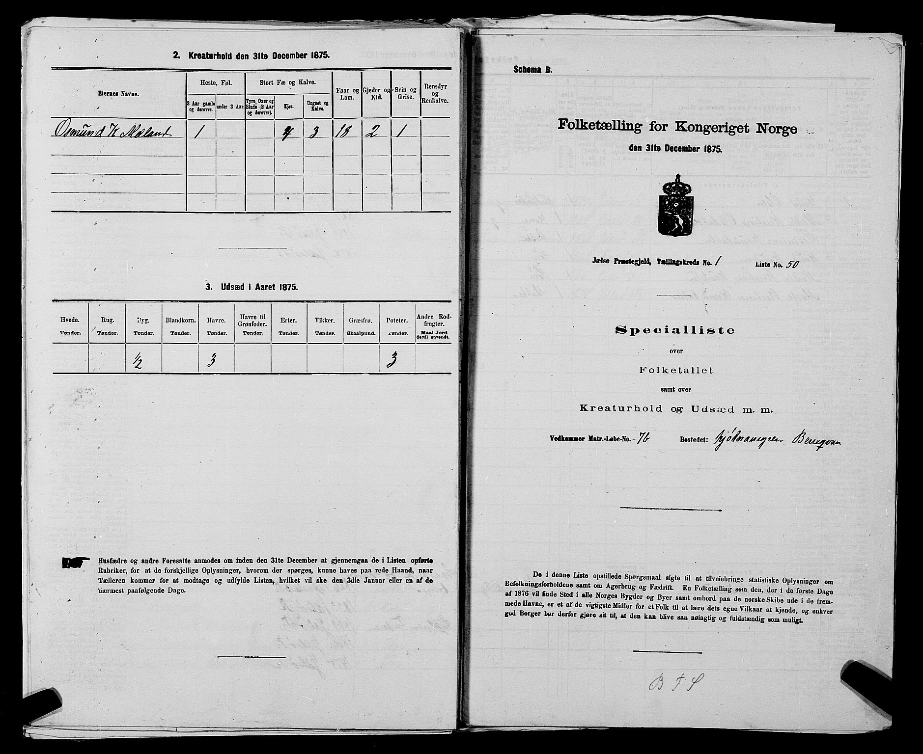 SAST, Folketelling 1875 for 1138P Jelsa prestegjeld, 1875, s. 106