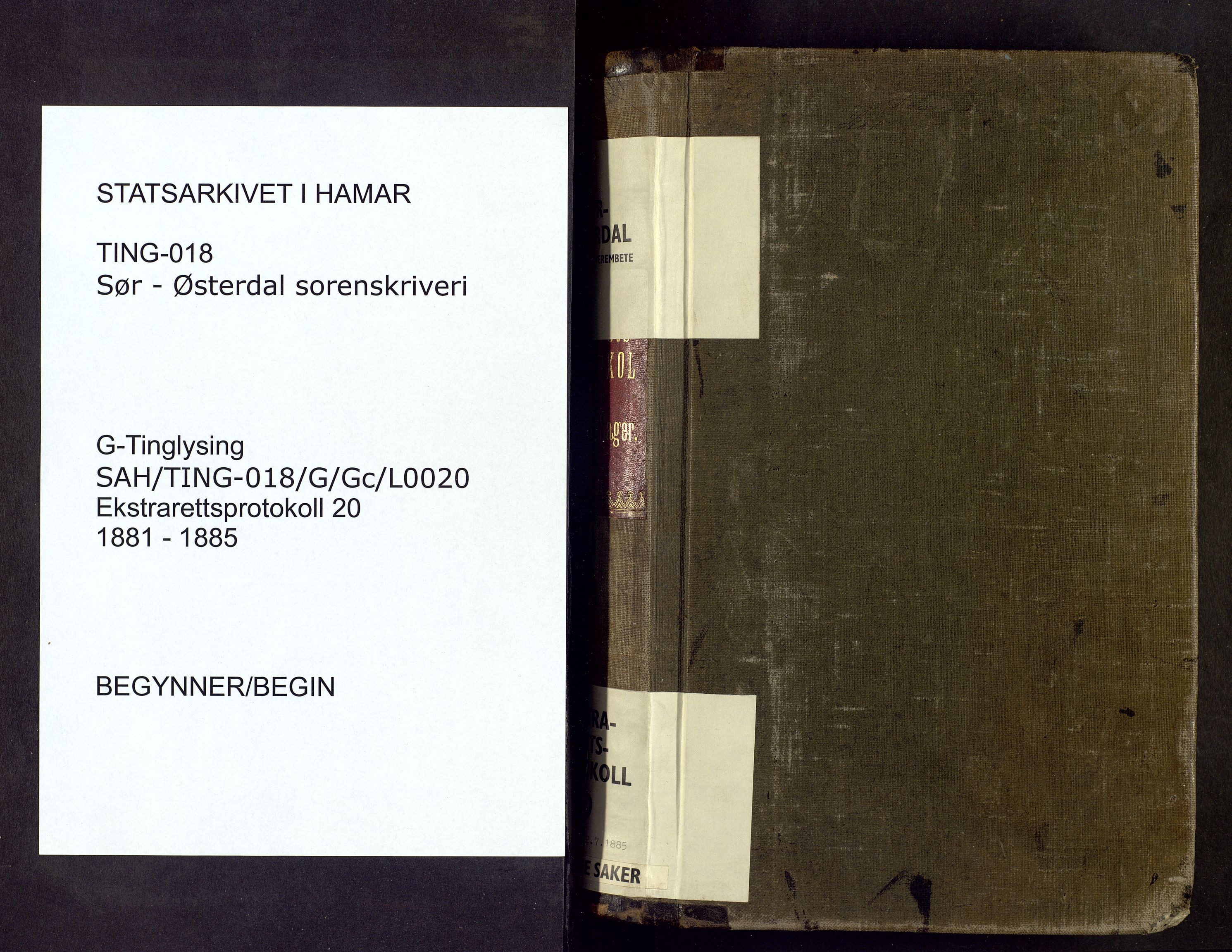 Sør-Østerdal sorenskriveri, SAH/TING-018/G/Gc/L0020: Ekstrarettsprotokoll, 1881-1885