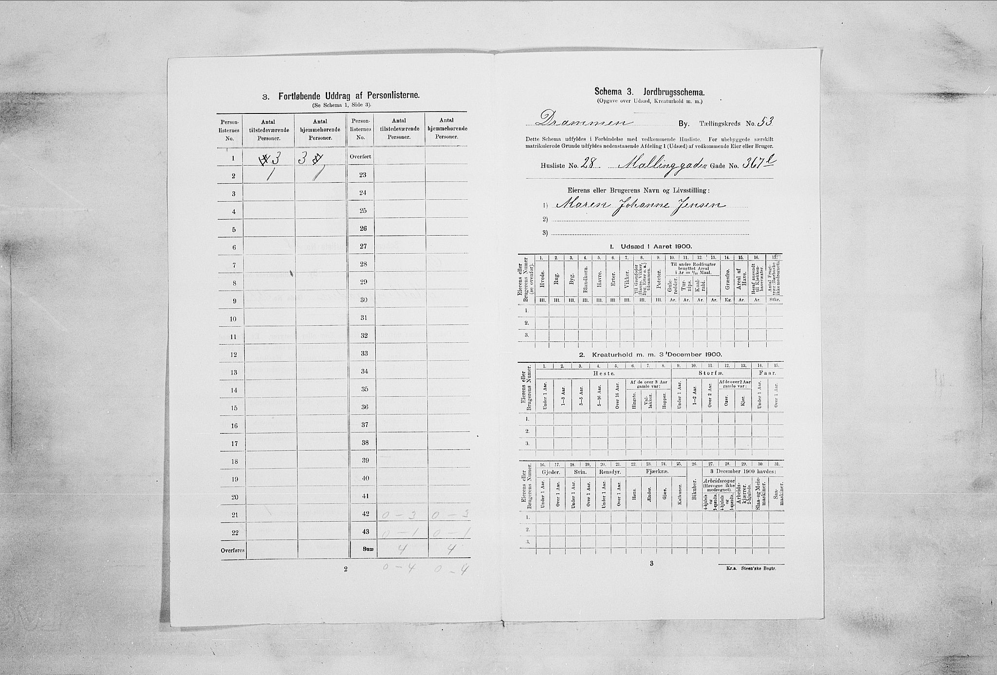 RA, Folketelling 1900 for 0602 Drammen kjøpstad, 1900, s. 9179