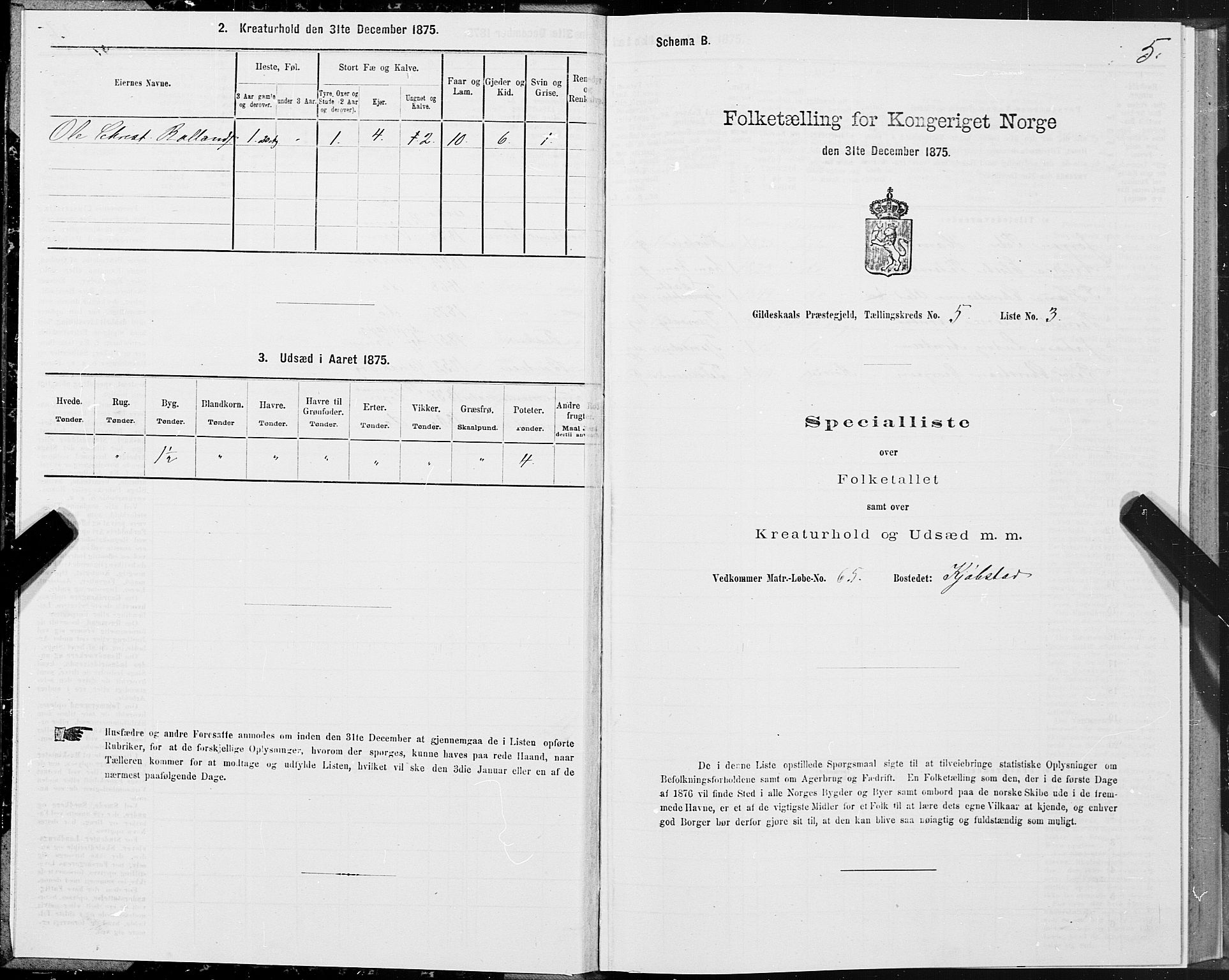 SAT, Folketelling 1875 for 1838P Gildeskål prestegjeld, 1875, s. 3005