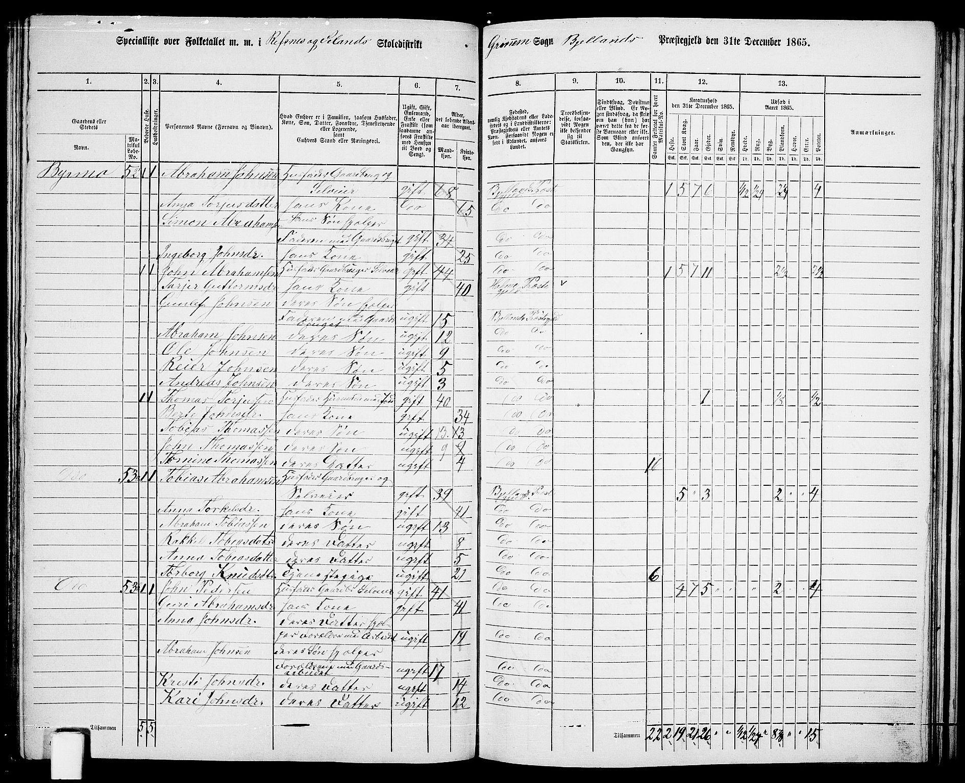 RA, Folketelling 1865 for 1024P Bjelland prestegjeld, 1865, s. 74