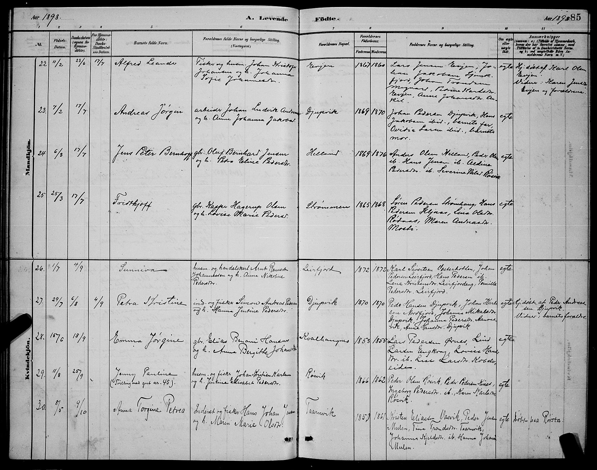 Ministerialprotokoller, klokkerbøker og fødselsregistre - Nordland, AV/SAT-A-1459/853/L0772: Ministerialbok nr. 853A11, 1881-1900, s. 85