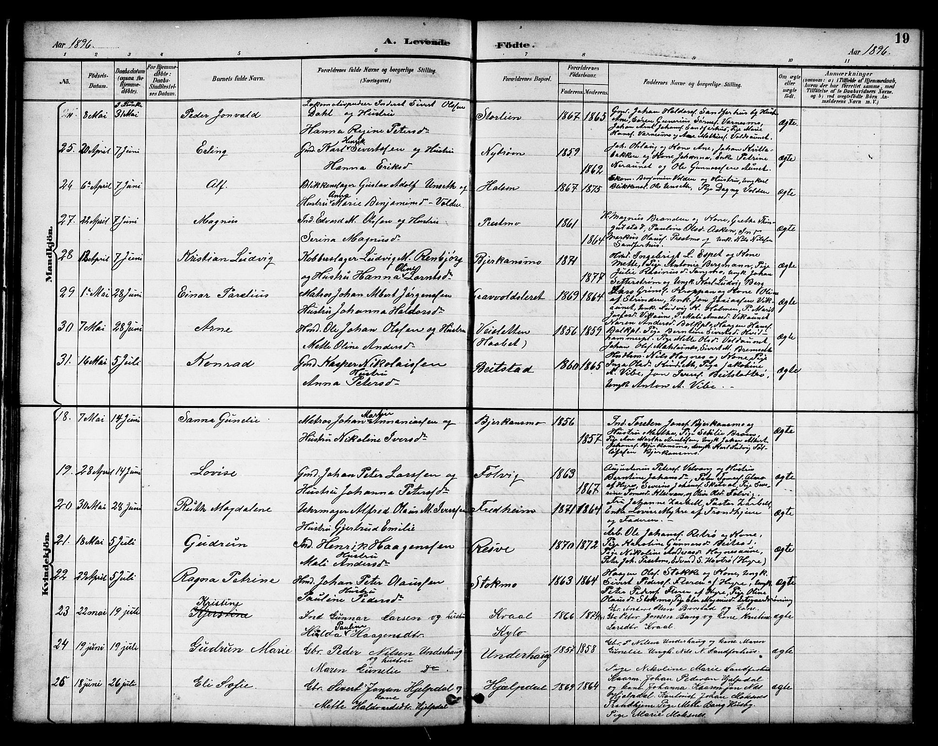 Ministerialprotokoller, klokkerbøker og fødselsregistre - Nord-Trøndelag, AV/SAT-A-1458/709/L0087: Klokkerbok nr. 709C01, 1892-1913, s. 19