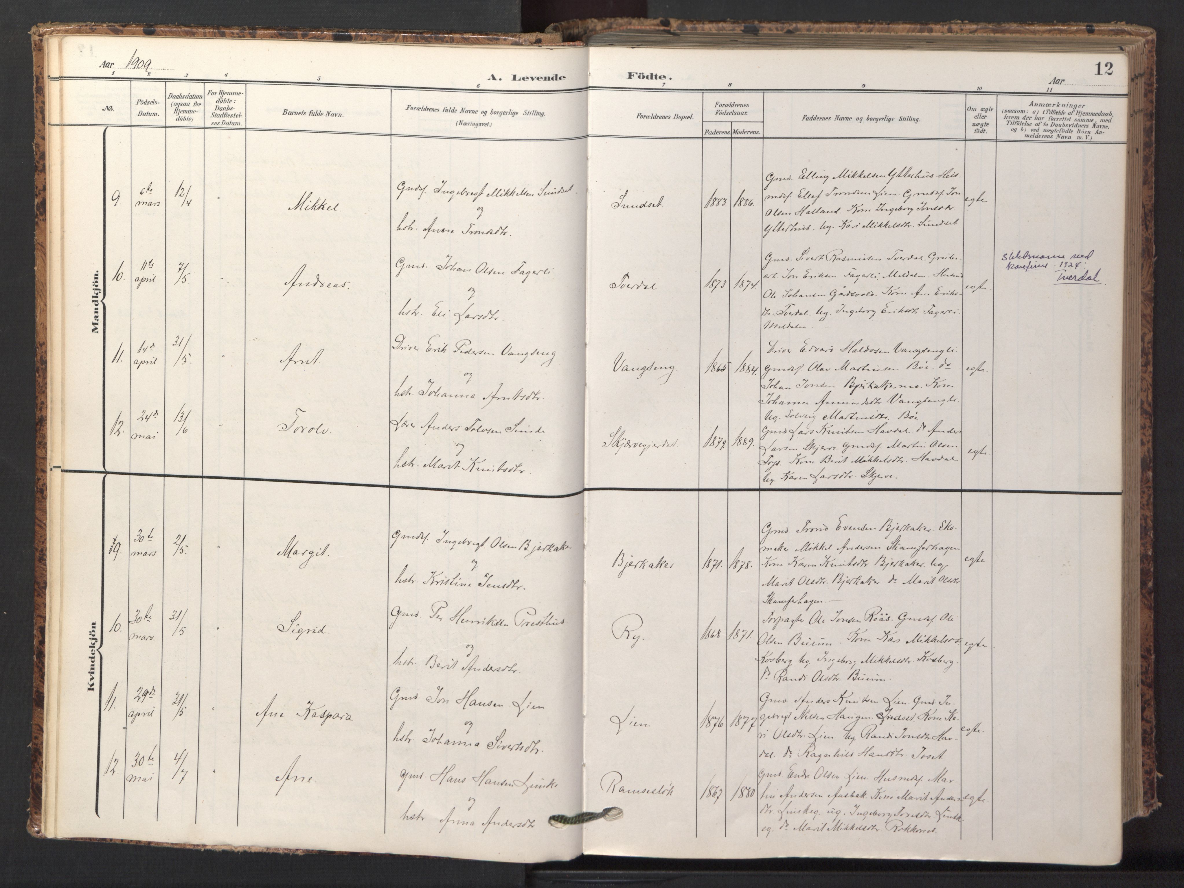 Ministerialprotokoller, klokkerbøker og fødselsregistre - Sør-Trøndelag, AV/SAT-A-1456/674/L0873: Ministerialbok nr. 674A05, 1908-1923, s. 12