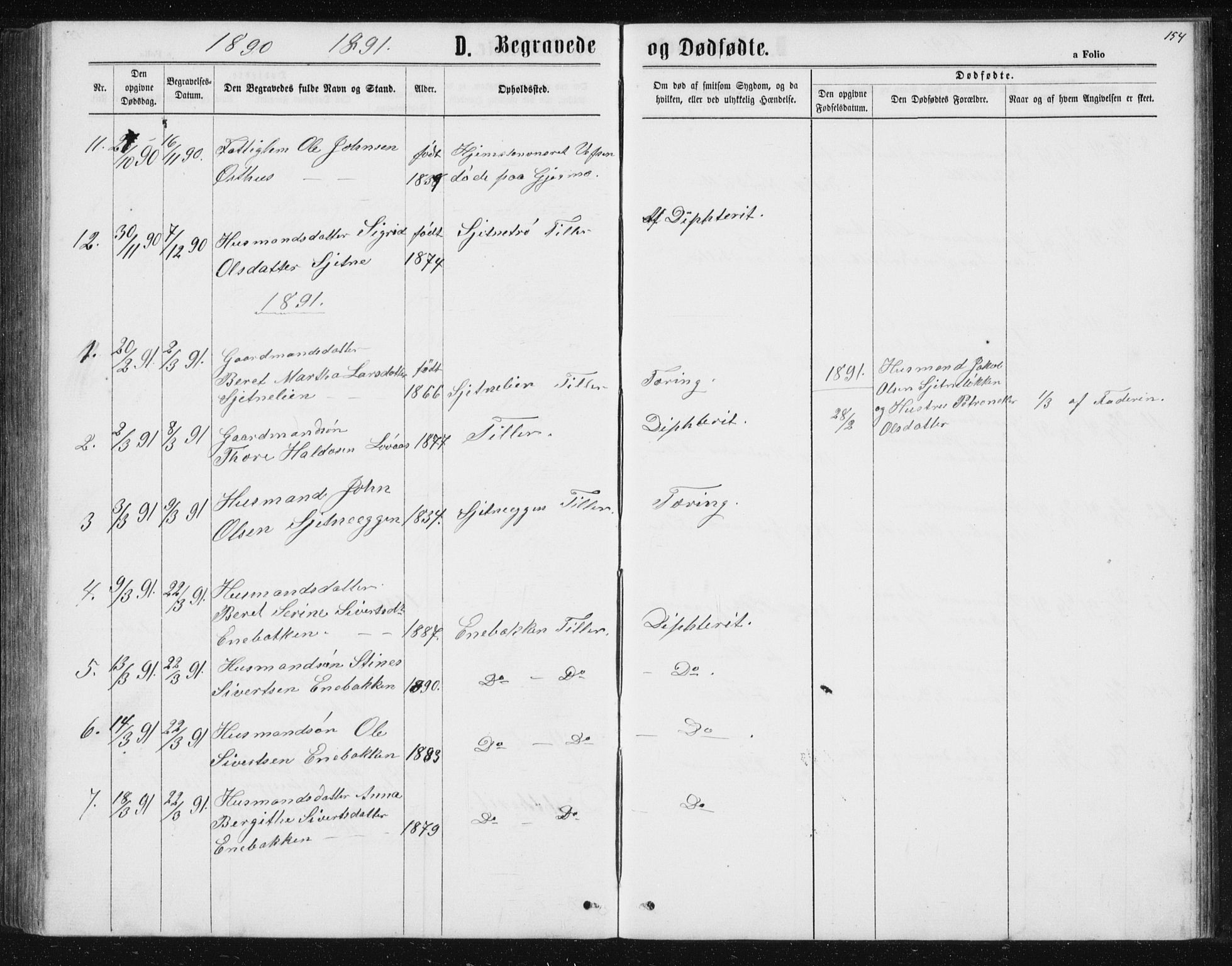 Ministerialprotokoller, klokkerbøker og fødselsregistre - Sør-Trøndelag, SAT/A-1456/621/L0459: Klokkerbok nr. 621C02, 1866-1895, s. 154