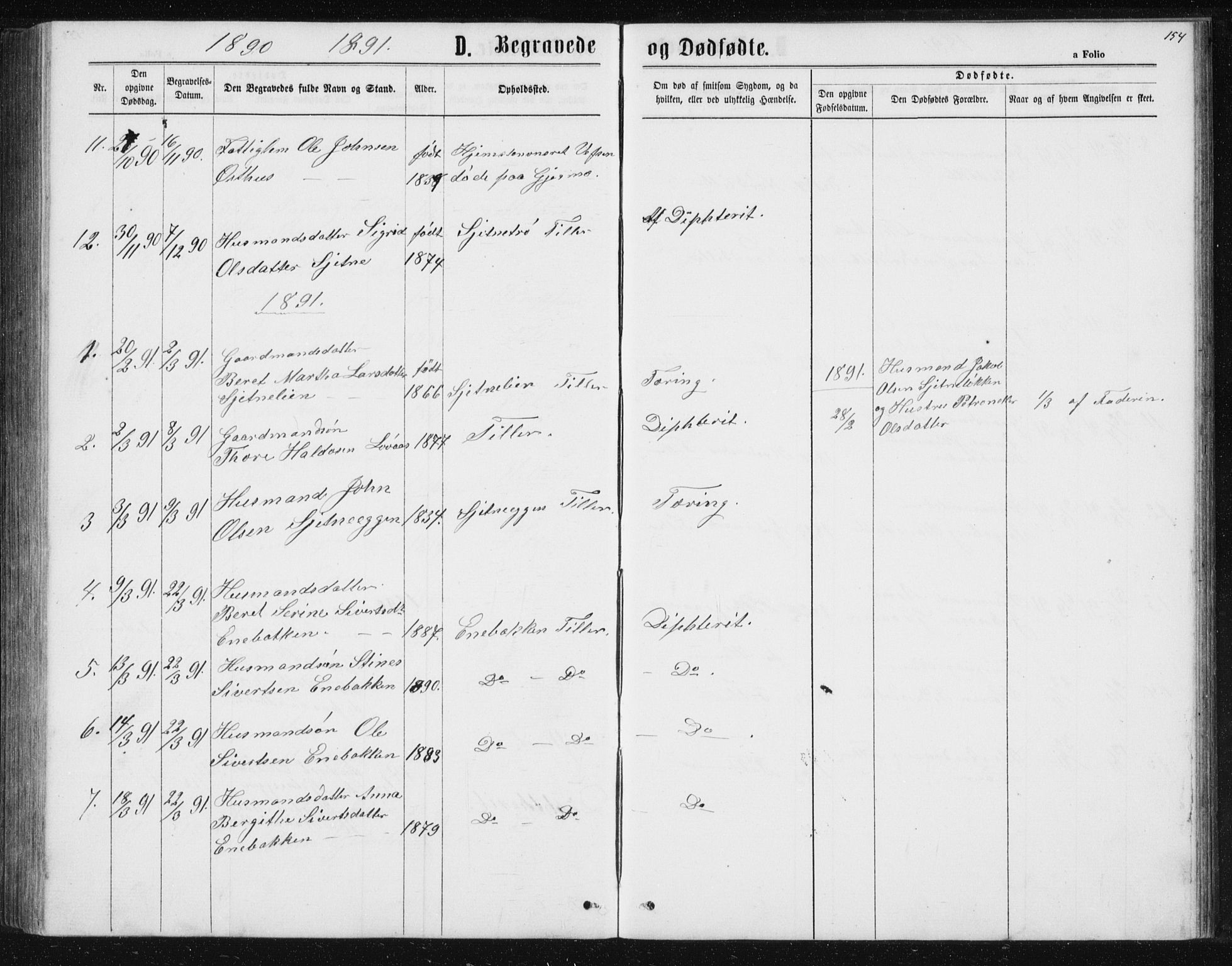 Ministerialprotokoller, klokkerbøker og fødselsregistre - Sør-Trøndelag, AV/SAT-A-1456/621/L0459: Klokkerbok nr. 621C02, 1866-1895, s. 154