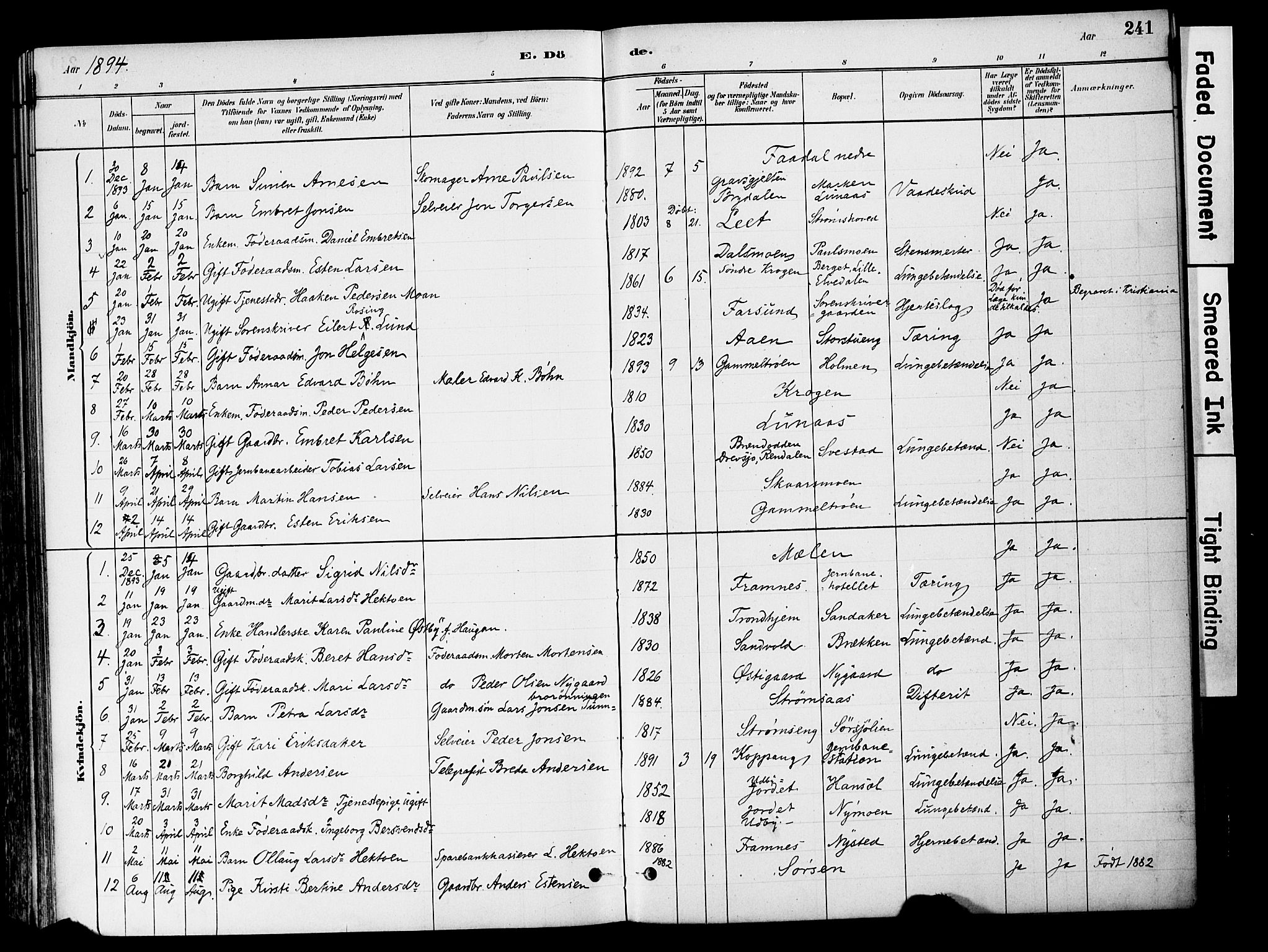 Tynset prestekontor, AV/SAH-PREST-058/H/Ha/Haa/L0022: Ministerialbok nr. 22, 1880-1899, s. 241