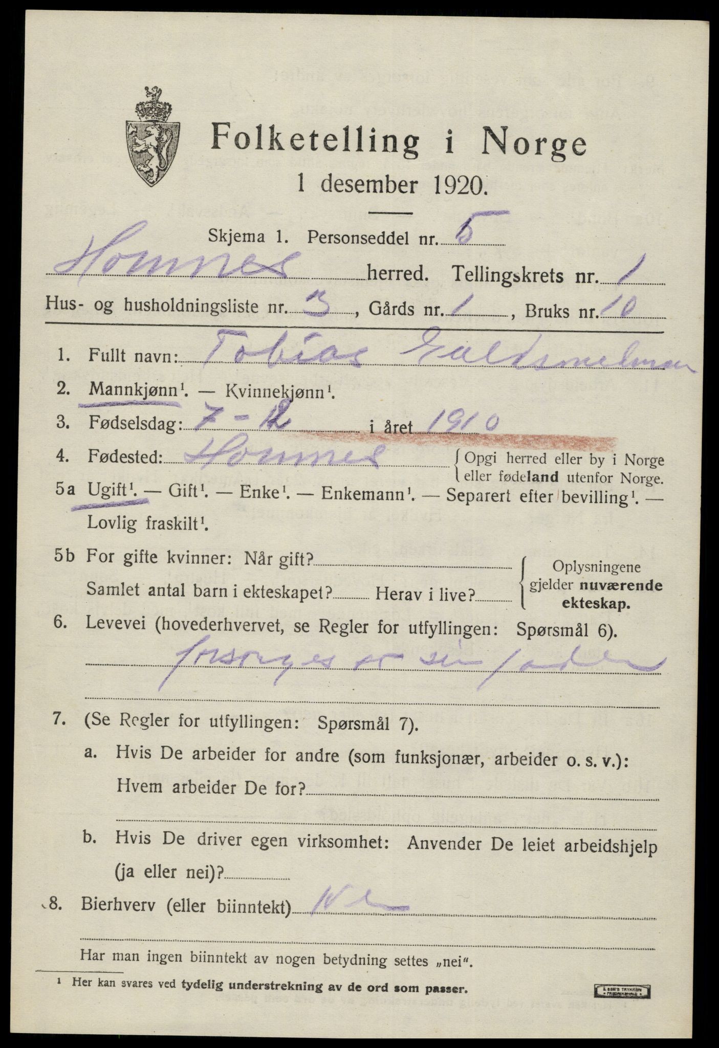 SAK, Folketelling 1920 for 0936 Hornnes herred, 1920, s. 587