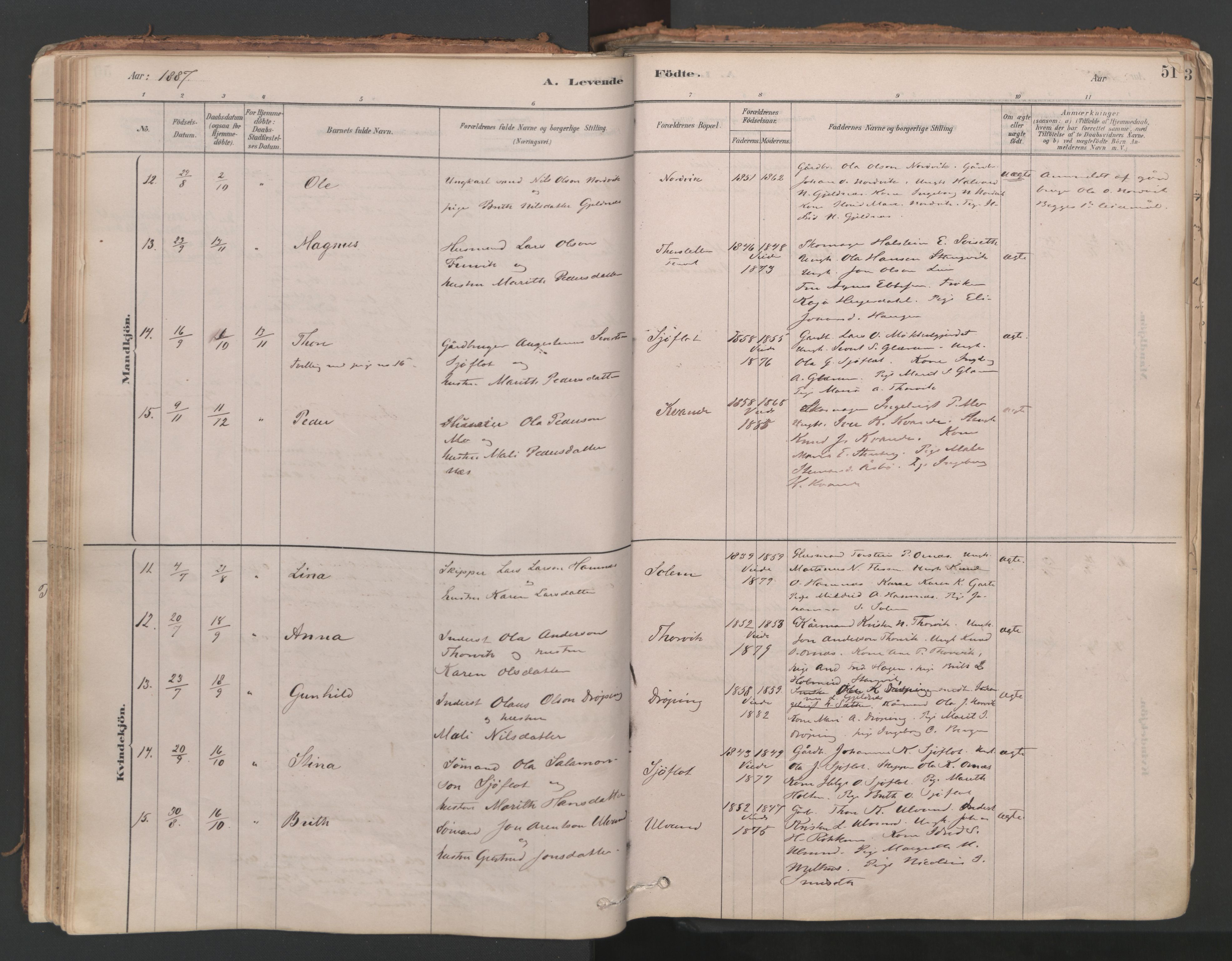 Ministerialprotokoller, klokkerbøker og fødselsregistre - Møre og Romsdal, AV/SAT-A-1454/592/L1029: Ministerialbok nr. 592A07, 1879-1902, s. 51