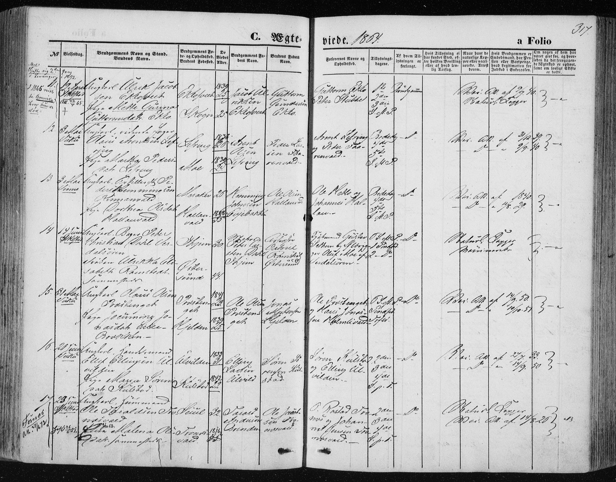 Ministerialprotokoller, klokkerbøker og fødselsregistre - Nord-Trøndelag, AV/SAT-A-1458/723/L0241: Ministerialbok nr. 723A10, 1860-1869, s. 317