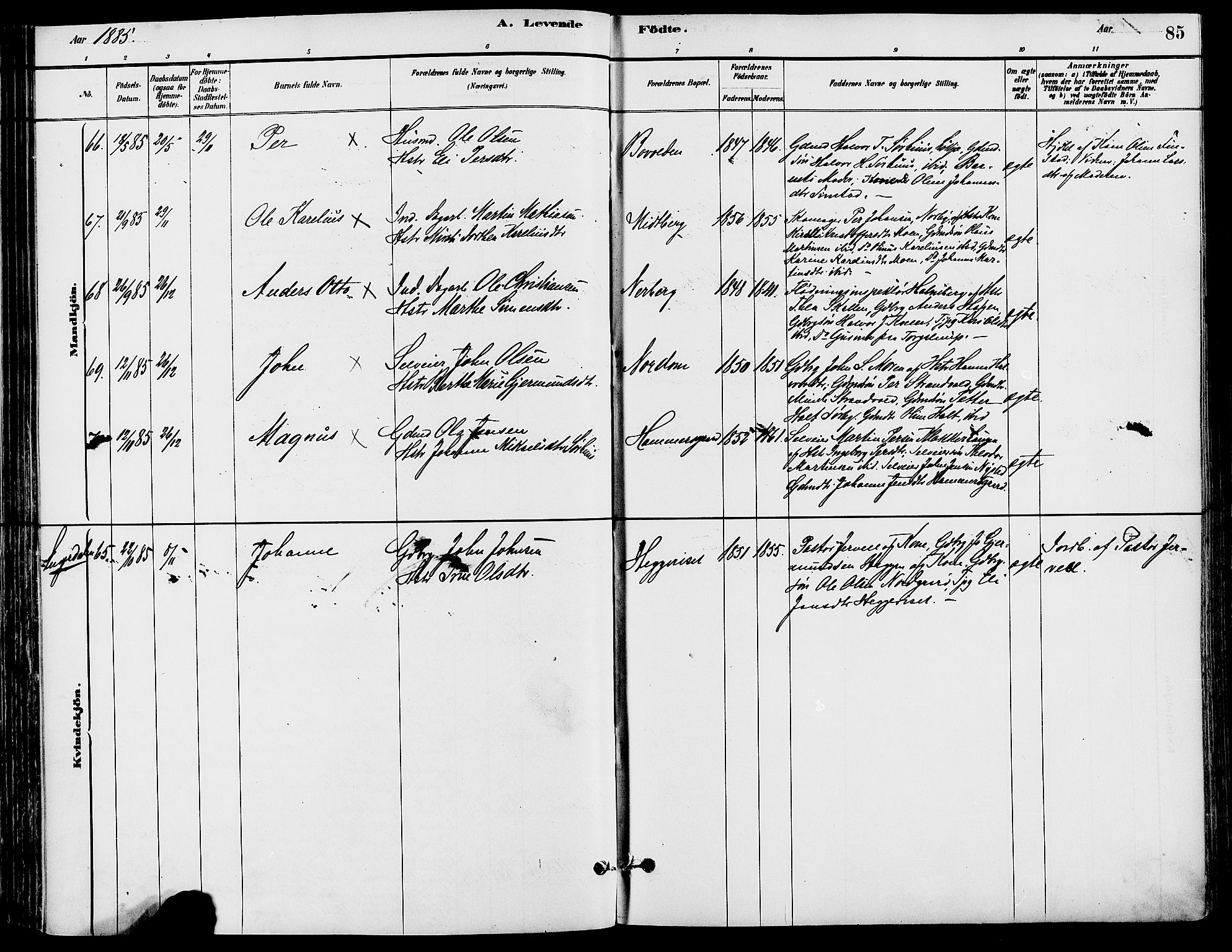 Trysil prestekontor, AV/SAH-PREST-046/H/Ha/Haa/L0008: Ministerialbok nr. 8, 1881-1897, s. 85