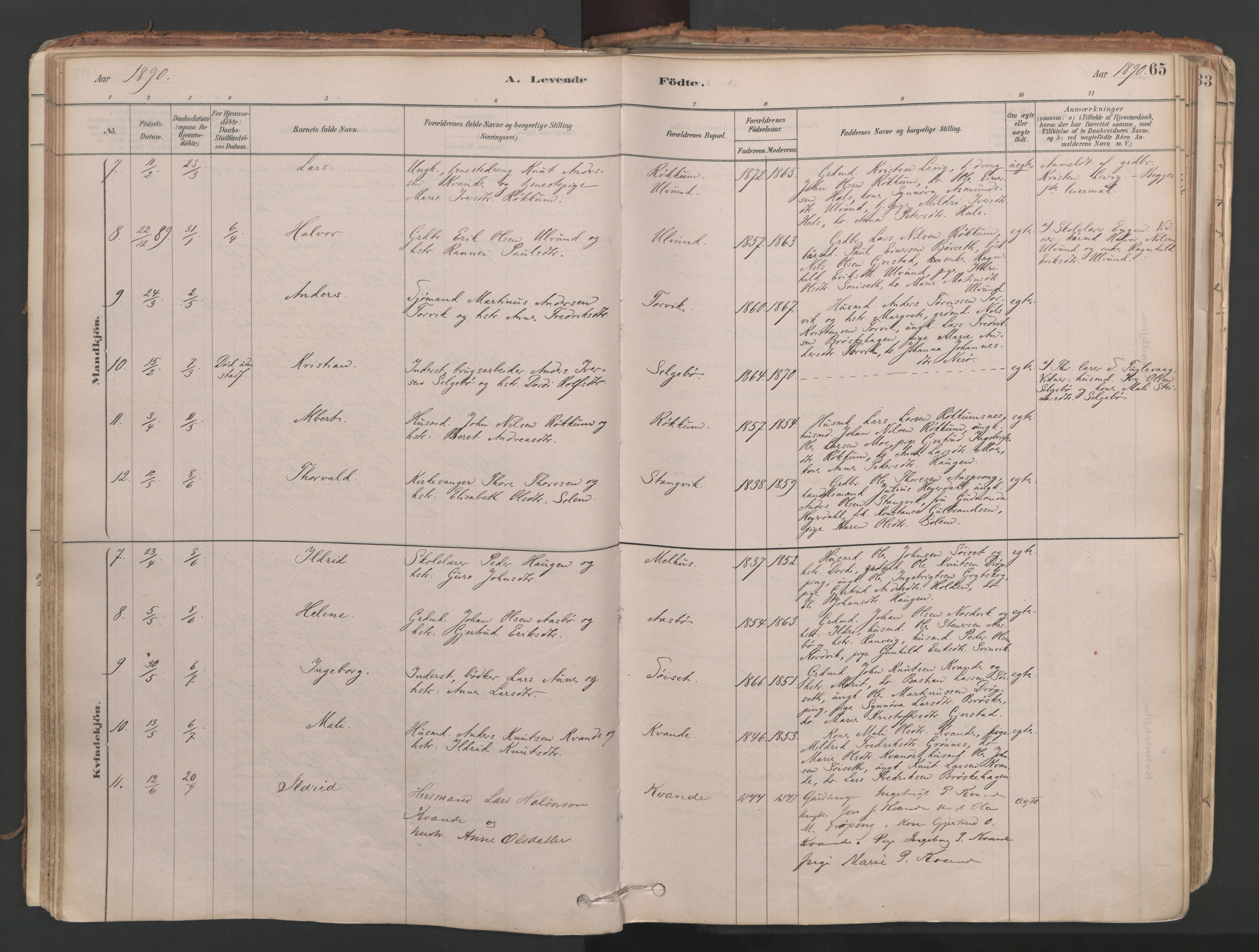 Ministerialprotokoller, klokkerbøker og fødselsregistre - Møre og Romsdal, AV/SAT-A-1454/592/L1029: Ministerialbok nr. 592A07, 1879-1902, s. 65