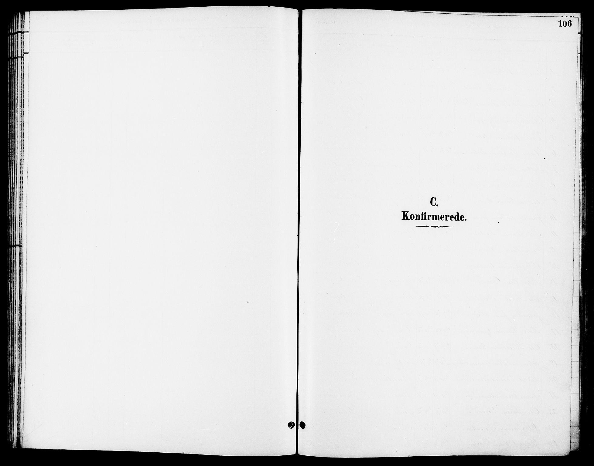 Ringsaker prestekontor, SAH/PREST-014/L/La/L0014: Klokkerbok nr. 14, 1891-1904, s. 106