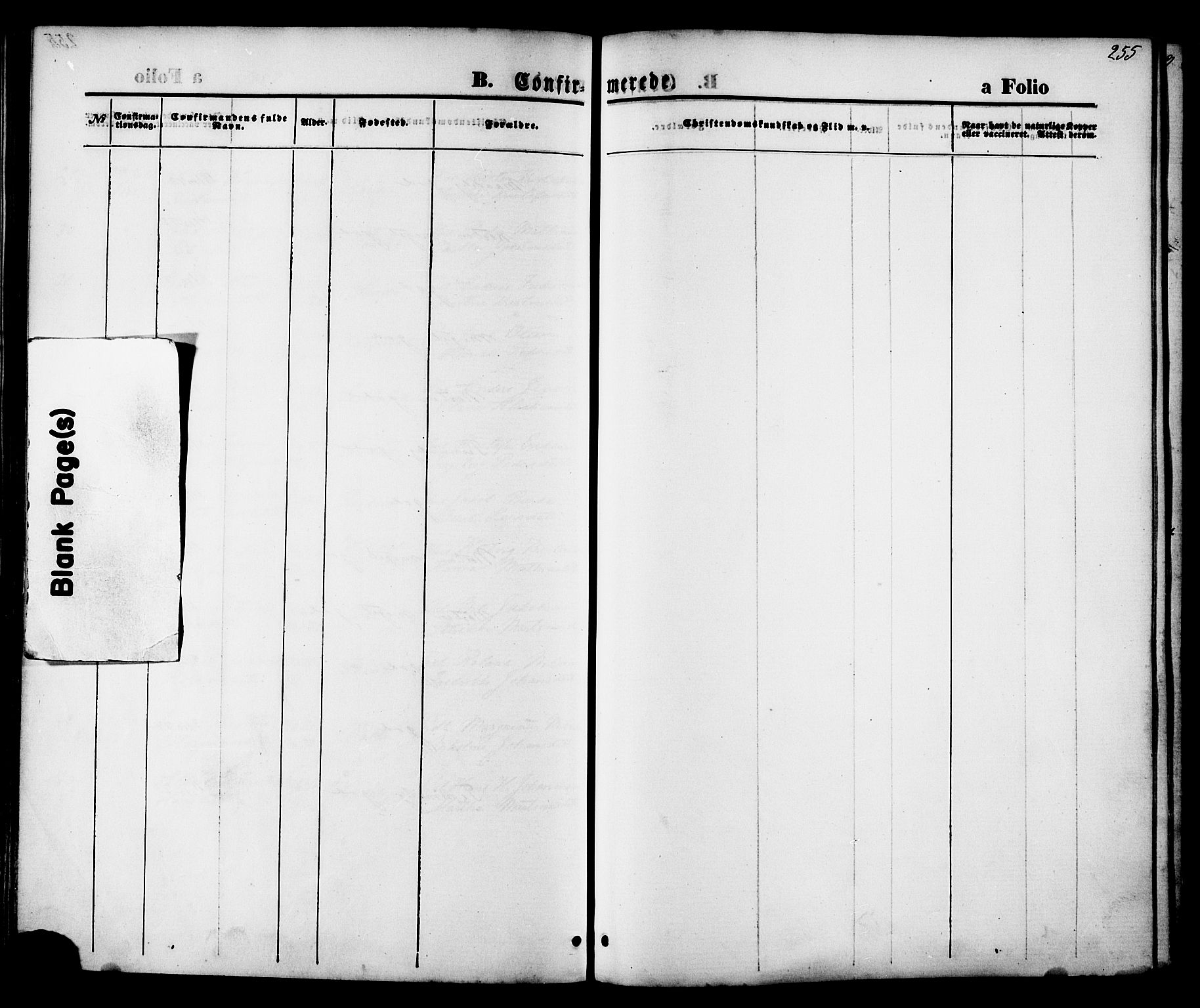 Ministerialprotokoller, klokkerbøker og fødselsregistre - Nordland, AV/SAT-A-1459/880/L1132: Ministerialbok nr. 880A06, 1869-1887, s. 255